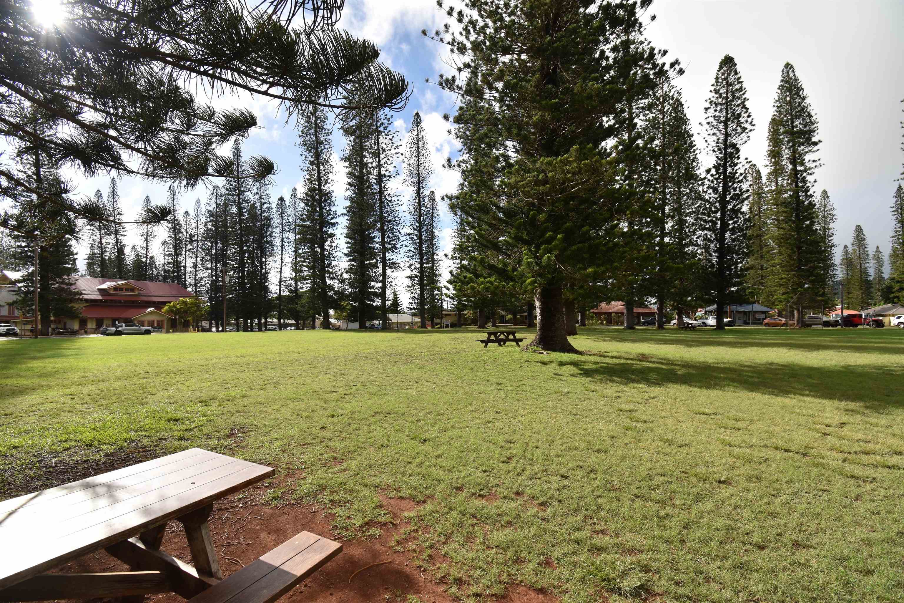 Lanai City Apartments condo # C-203, Lanai City, Hawaii - photo 16 of 21