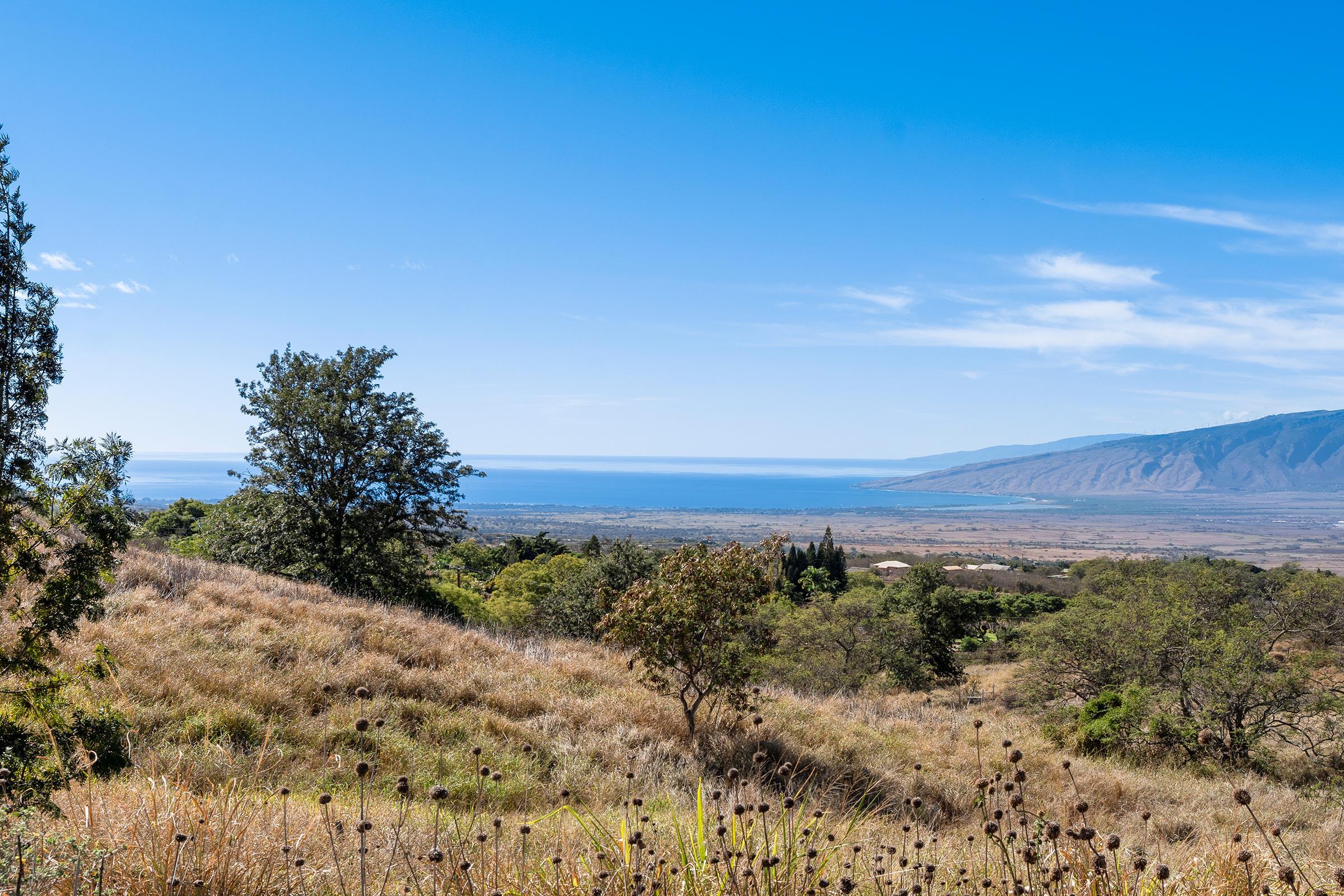 619 Omaopio Rd Lot 1-B Kula, Hi vacant land for sale - photo 2 of 13