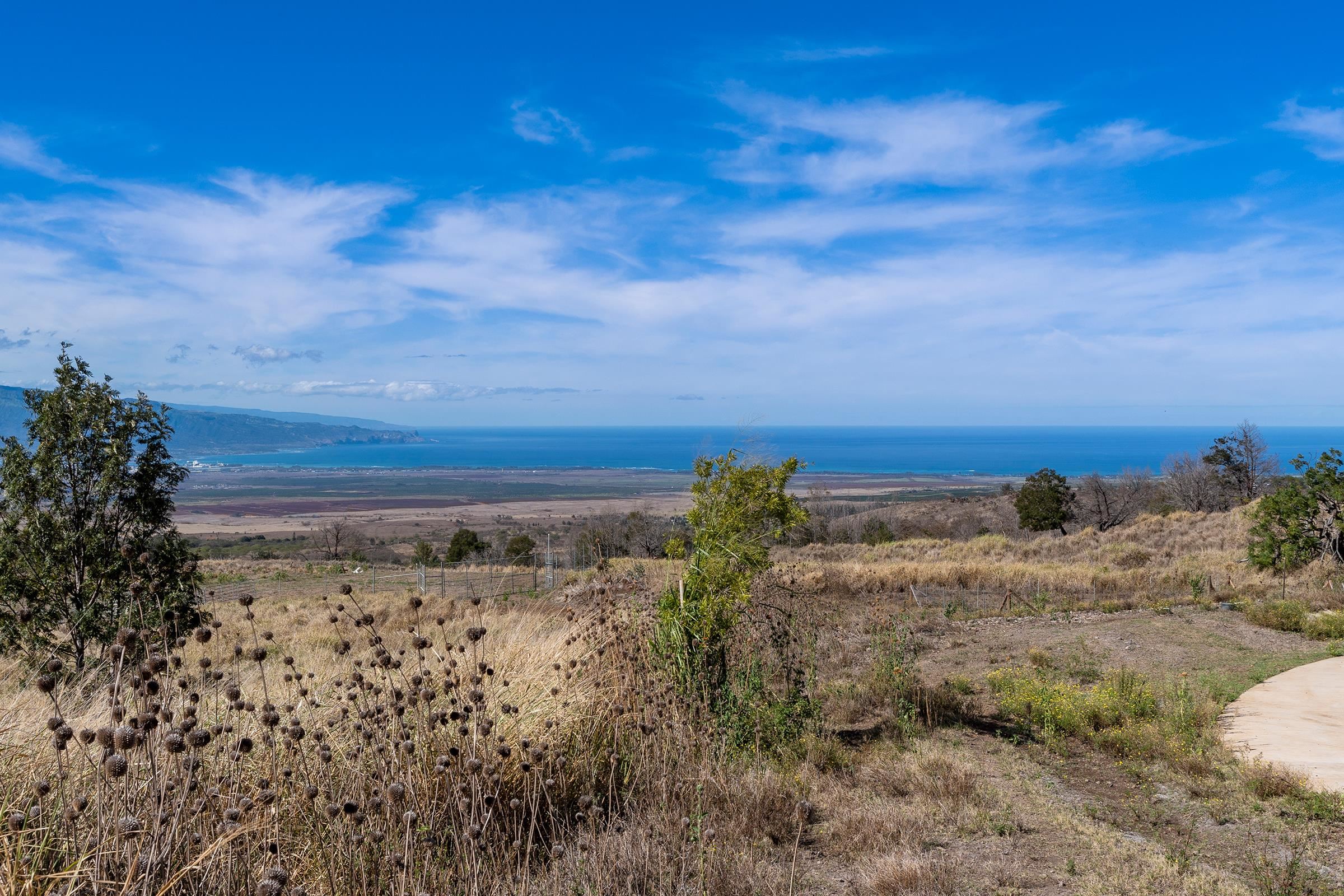 619 Omaopio Rd Lot 1-B Kula, Hi vacant land for sale - photo 5 of 13