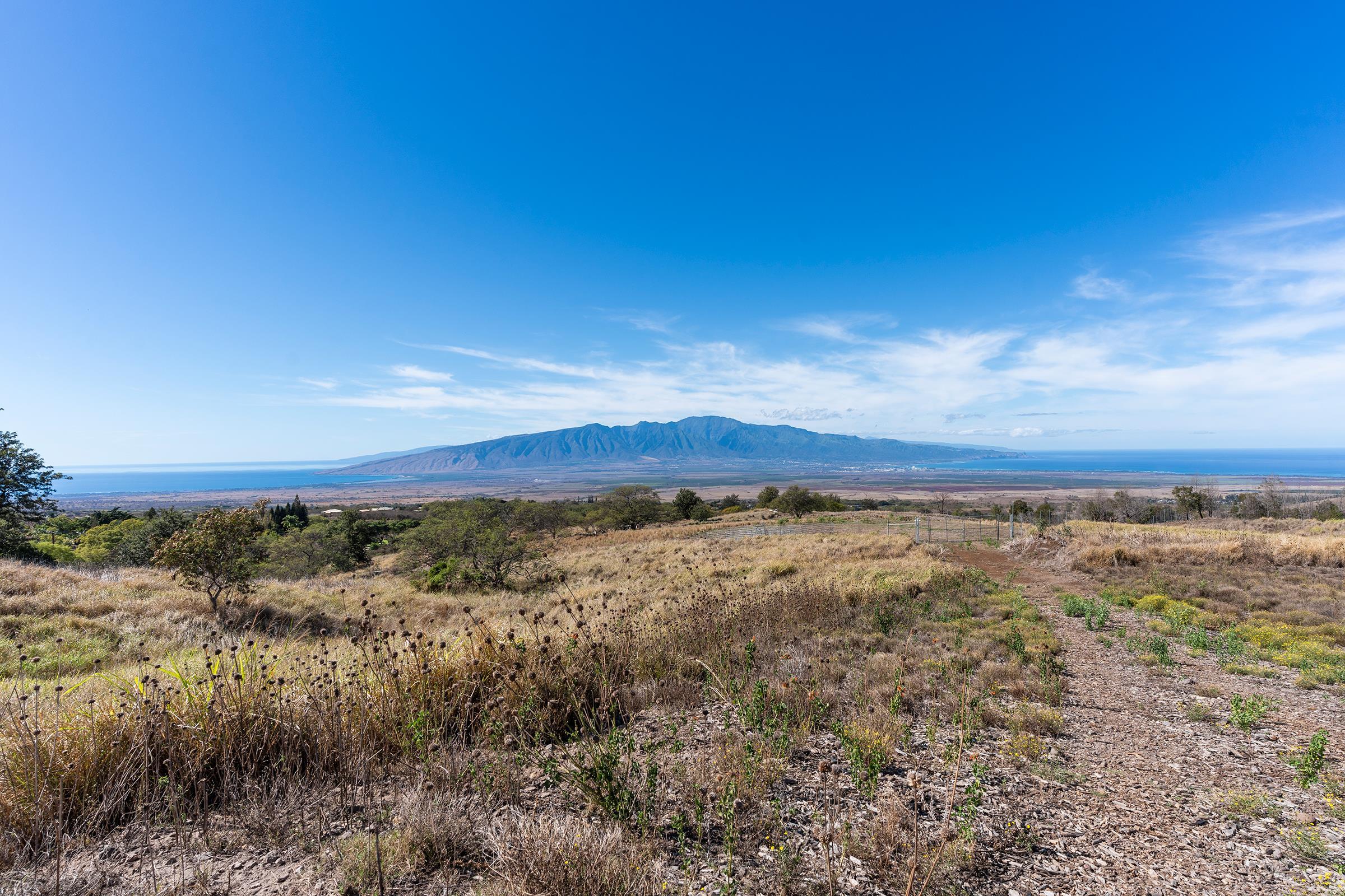 619 Omaopio Rd Lot 1-B Kula, Hi vacant land for sale - photo 8 of 13