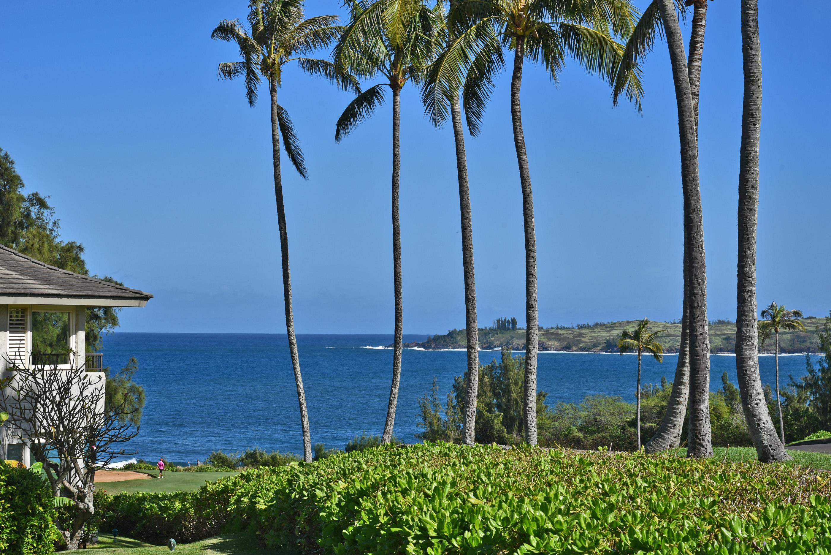 Kapalua Ironwoods 62, 62 Ironwood Ln, Lahaina Kapalua condo For sale