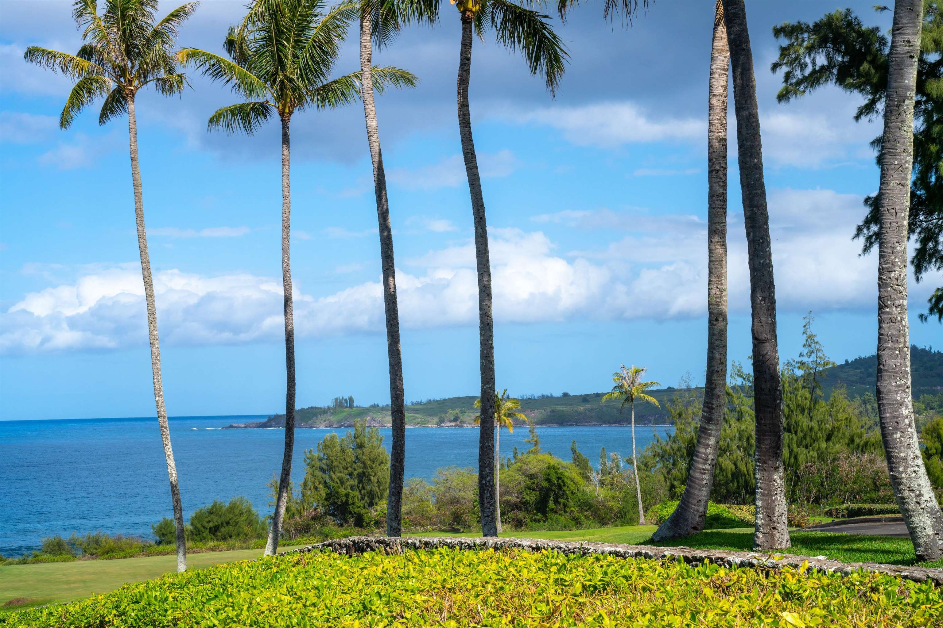 Kapalua Ironwoods condo # 62, Lahaina, Hawaii - photo 42 of 50