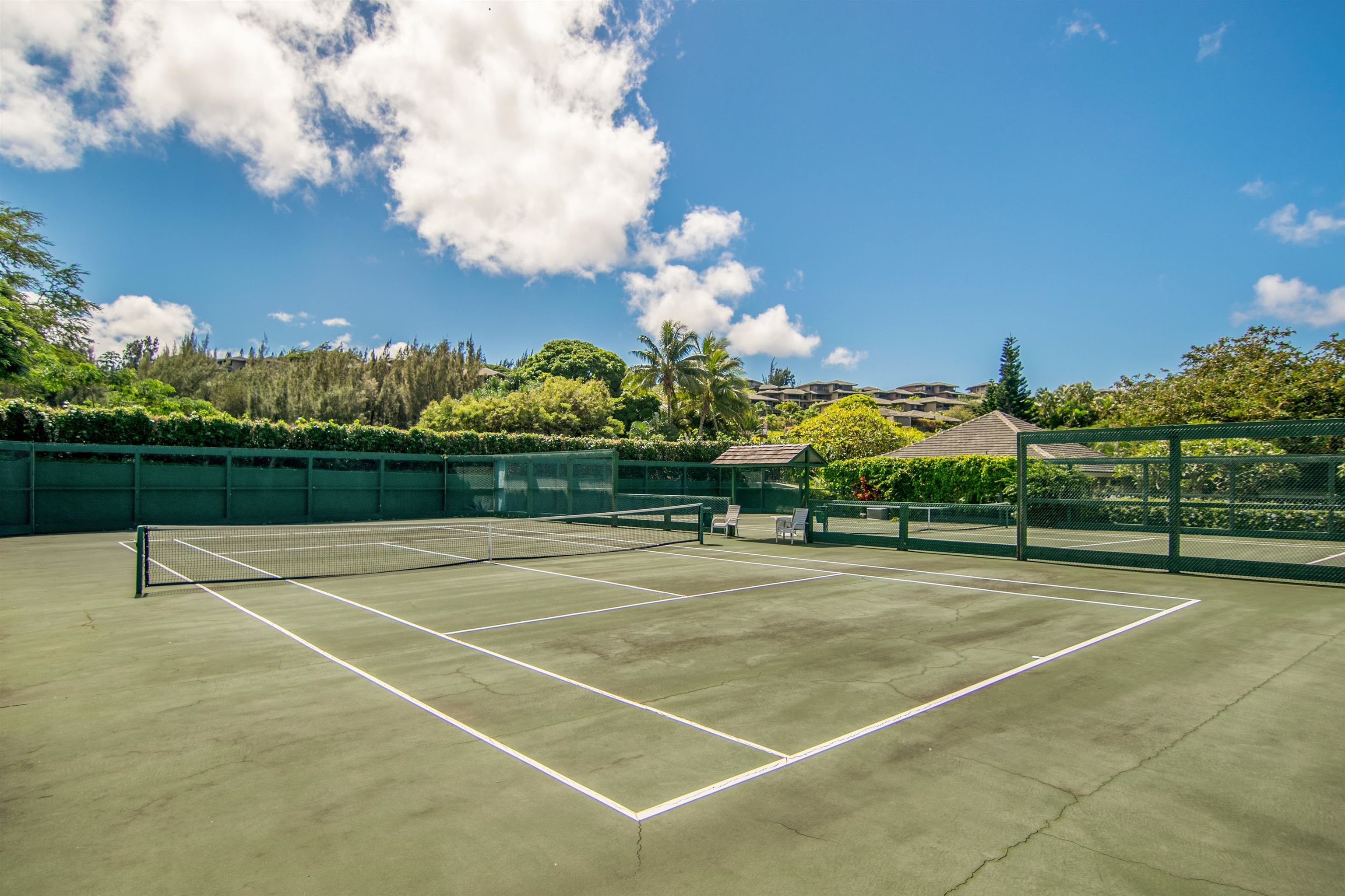 Kapalua Ironwoods condo # 62, Lahaina, Hawaii - photo 46 of 50