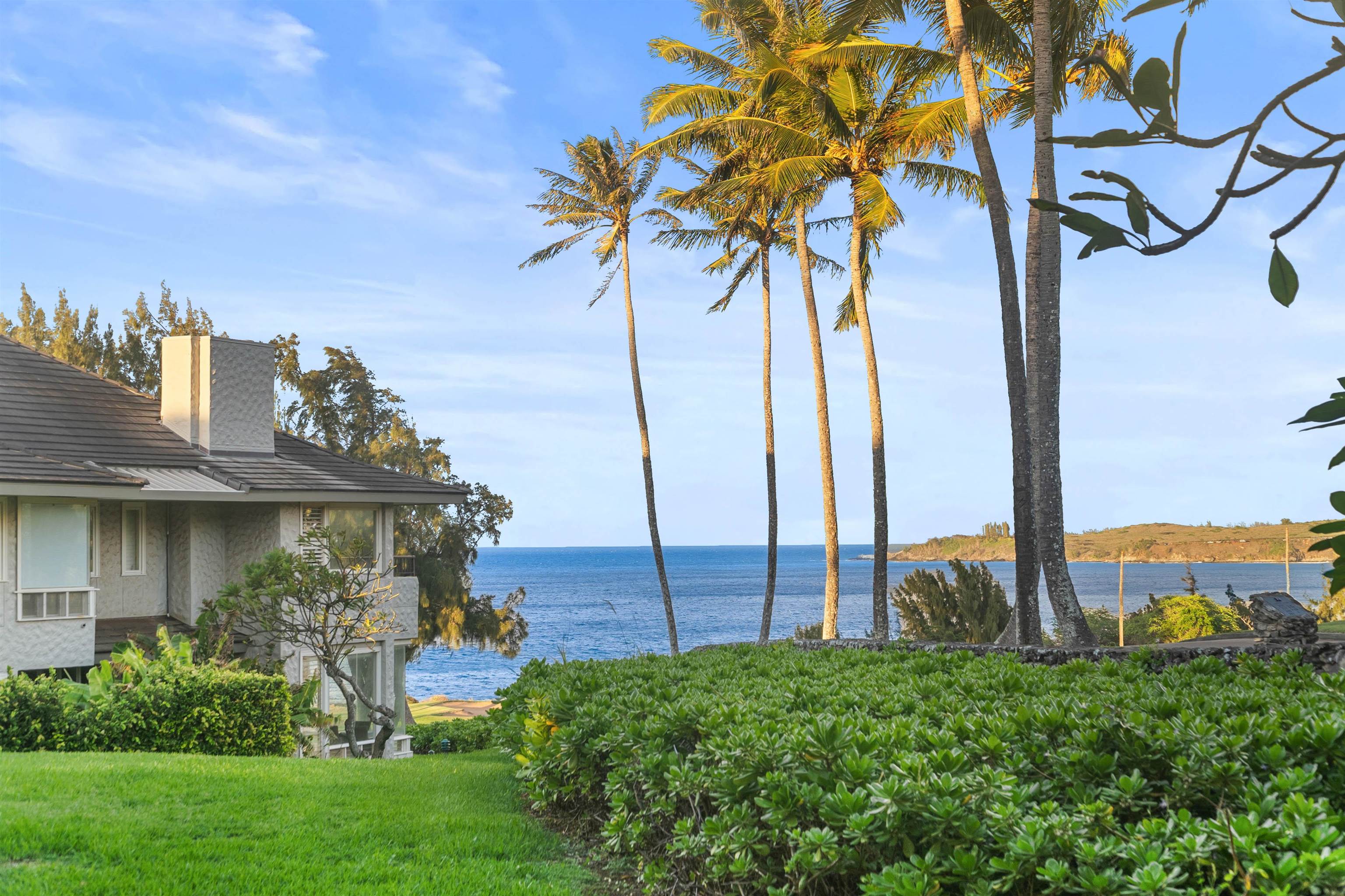 Kapalua Ironwoods condo # 62, Lahaina, Hawaii - photo 46 of 49