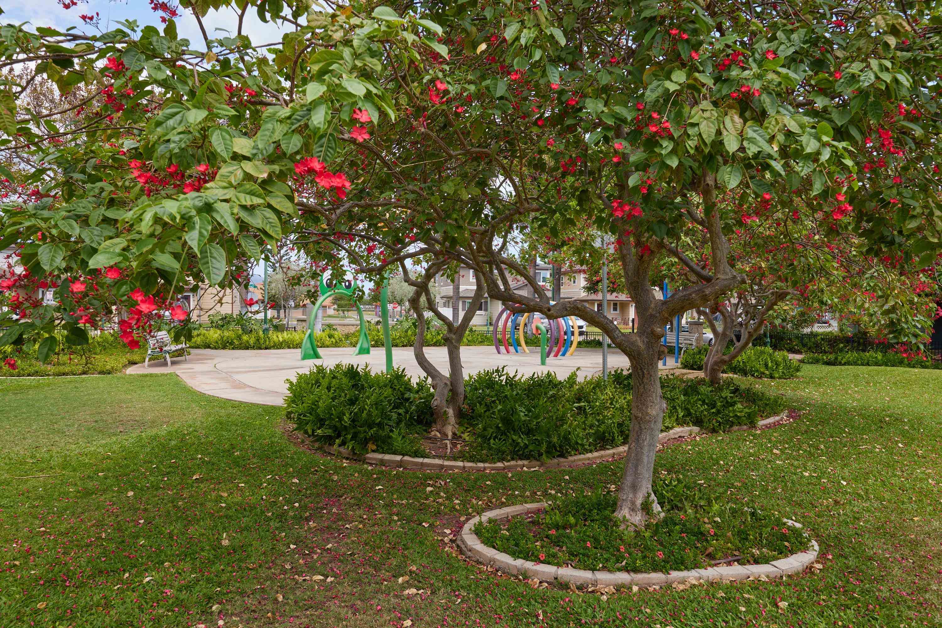 62  Meheu Cir Maui Lani, Kahului home - photo 12 of 48
