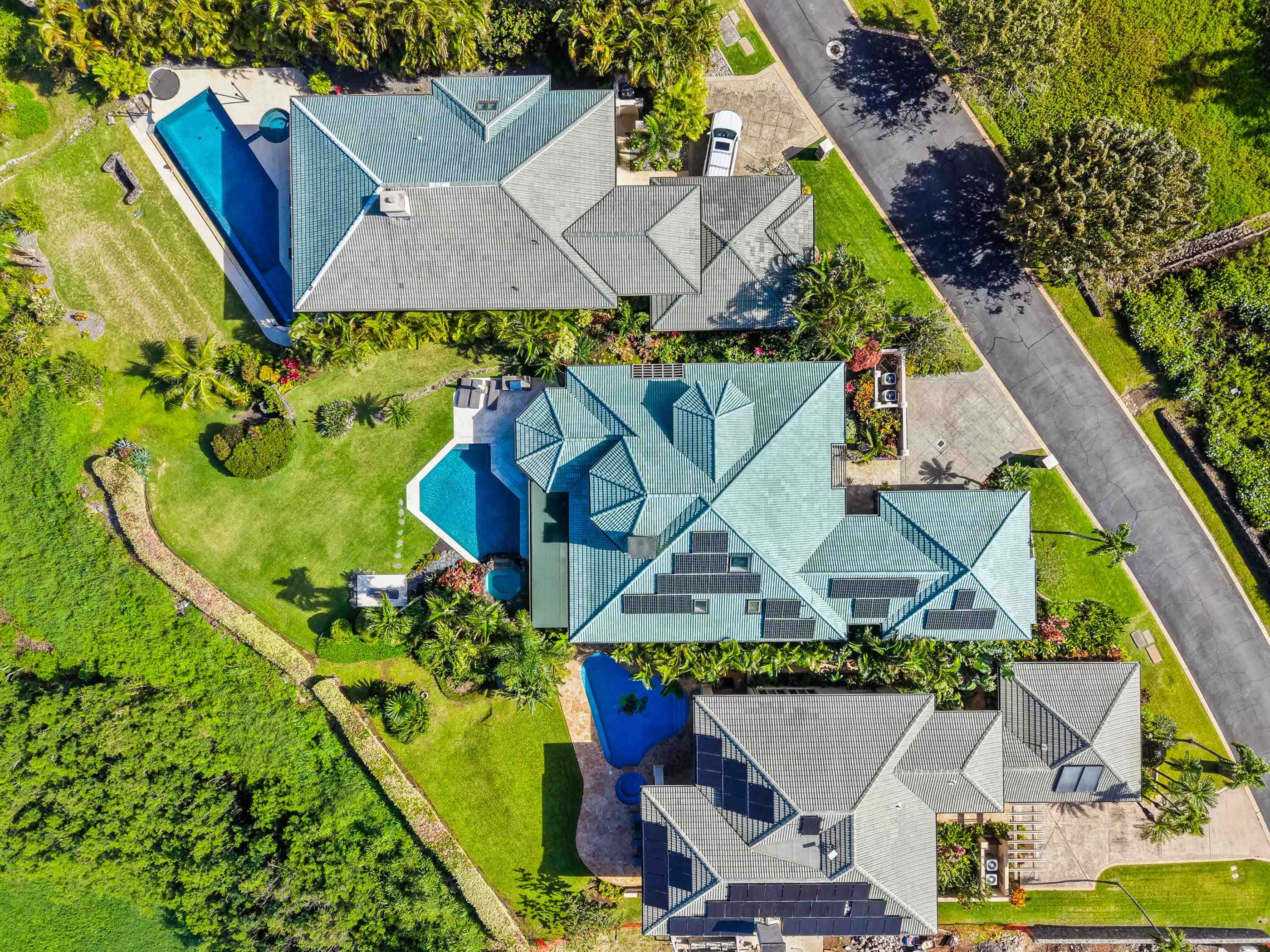 620  Silversword Dr Kapalua, Kapalua home - photo 3 of 49