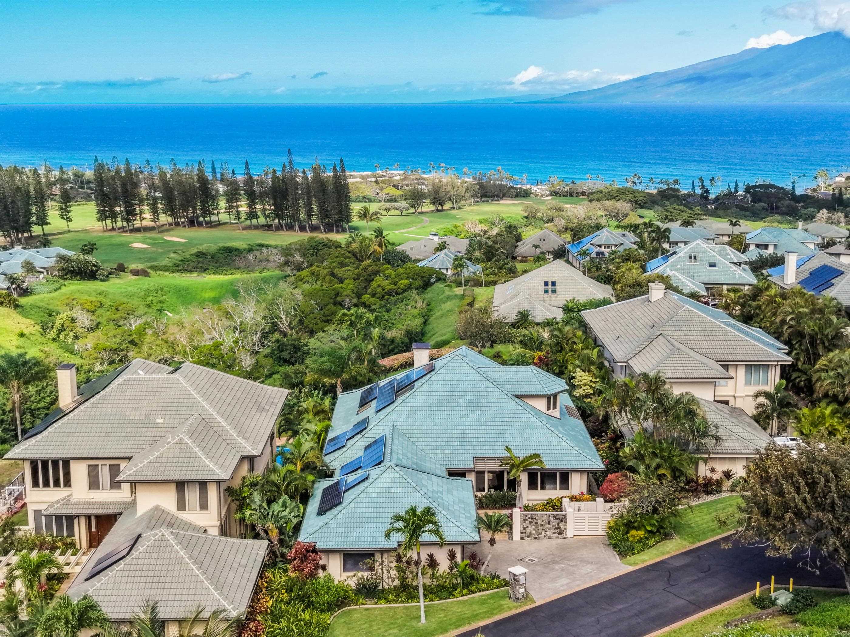 620  Silversword Dr Kapalua, Kapalua home - photo 42 of 49