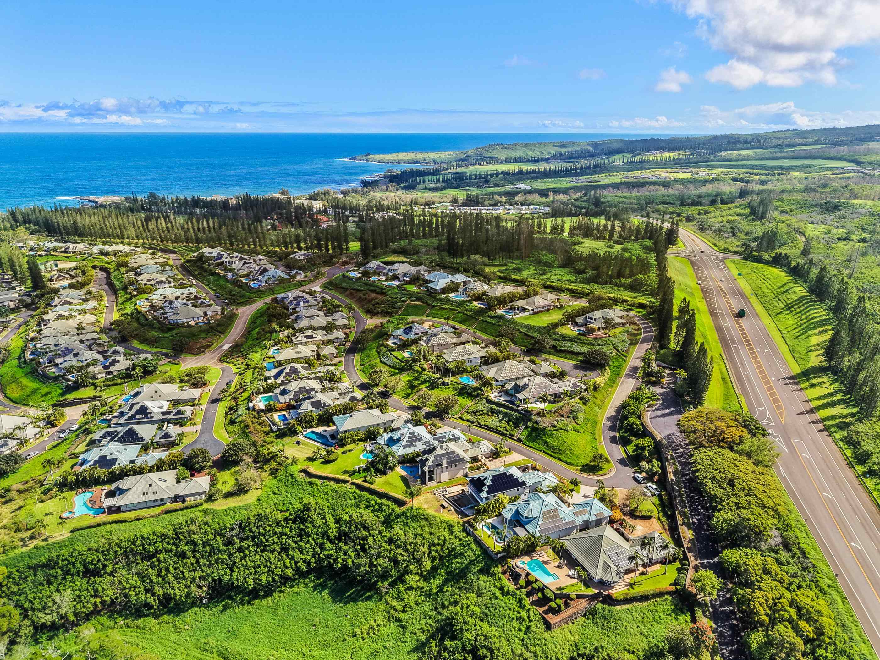 620  Silversword Dr Kapalua, Kapalua home - photo 43 of 49
