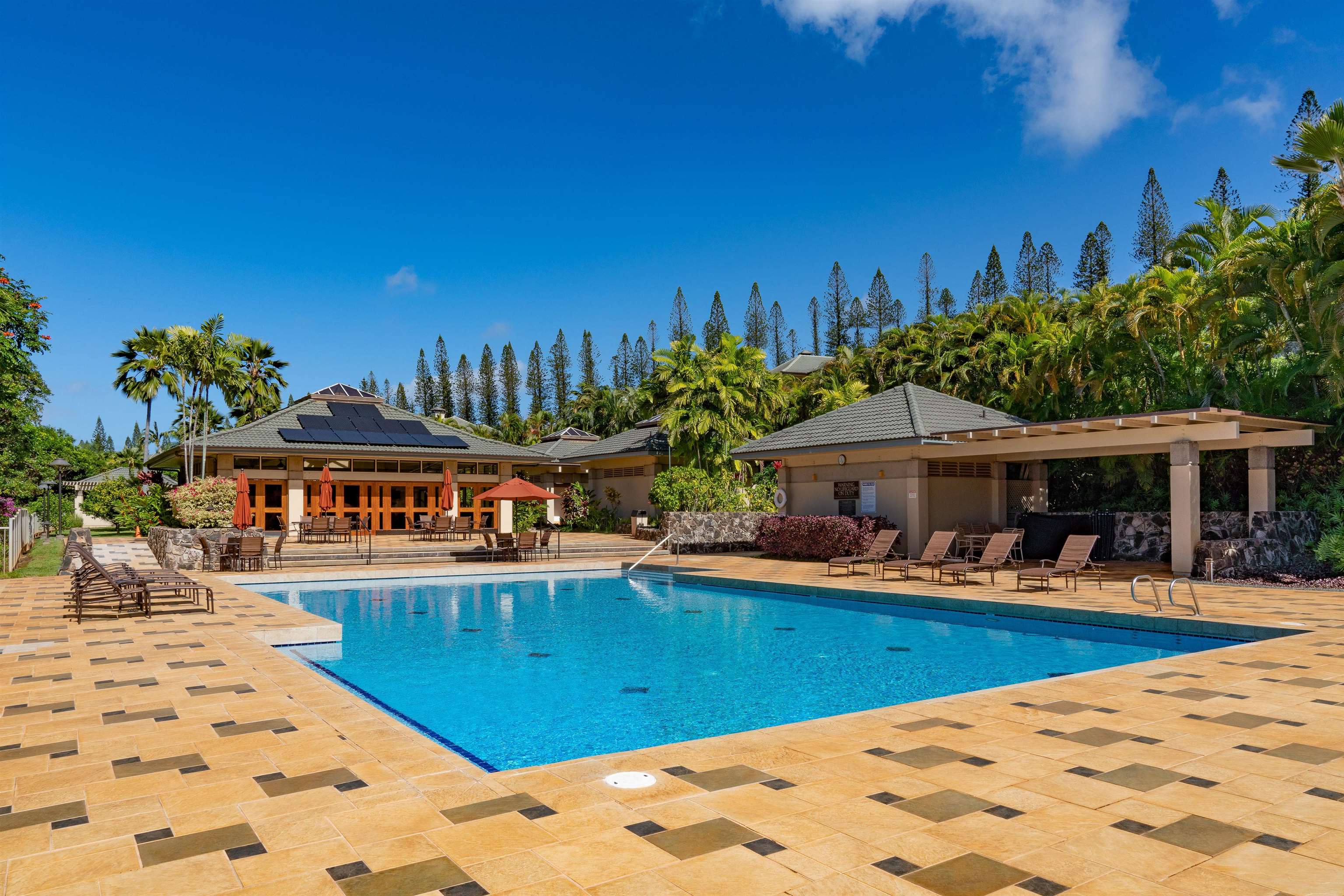 620  Silversword Dr Kapalua, Kapalua home - photo 46 of 49