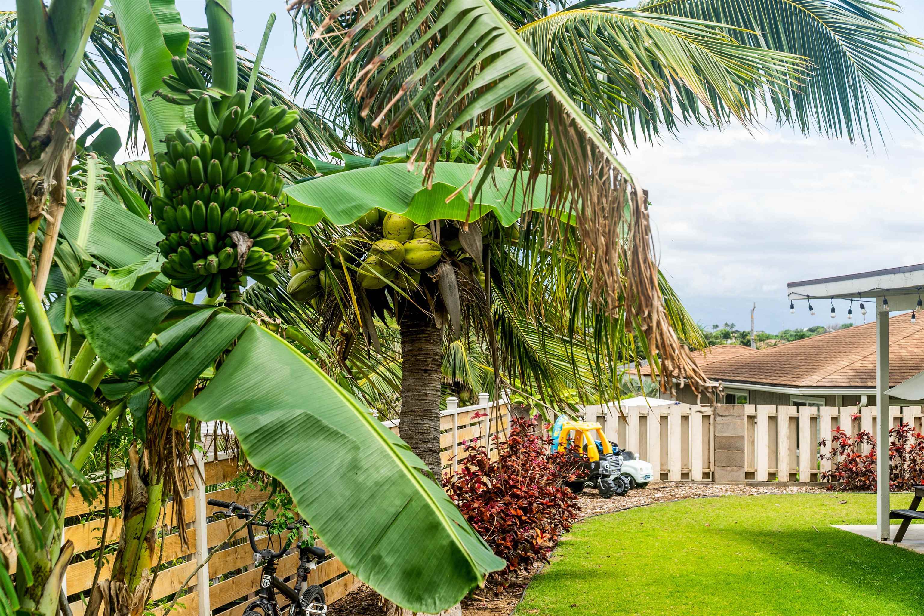 624  Alihilani St Wailuku, Wailuku home - photo 27 of 39