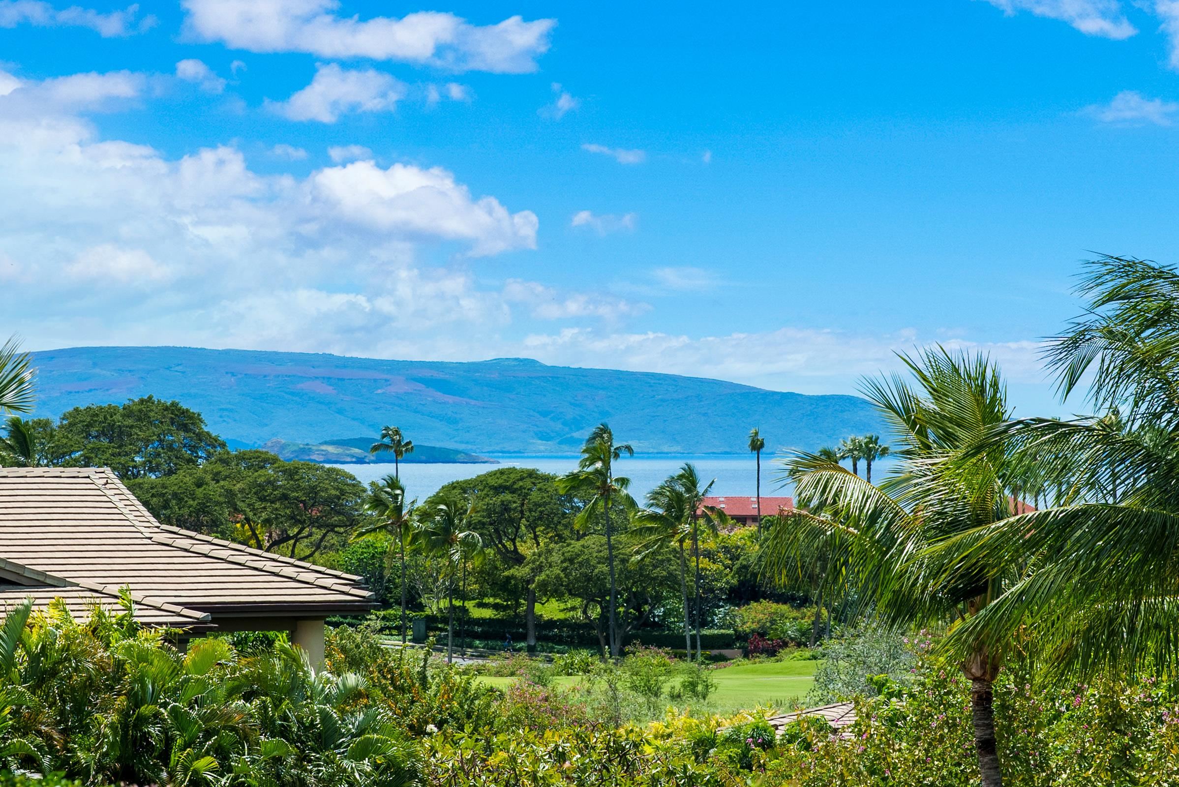 Hoolei condo # B5, Kihei, Hawaii - photo 40 of 48