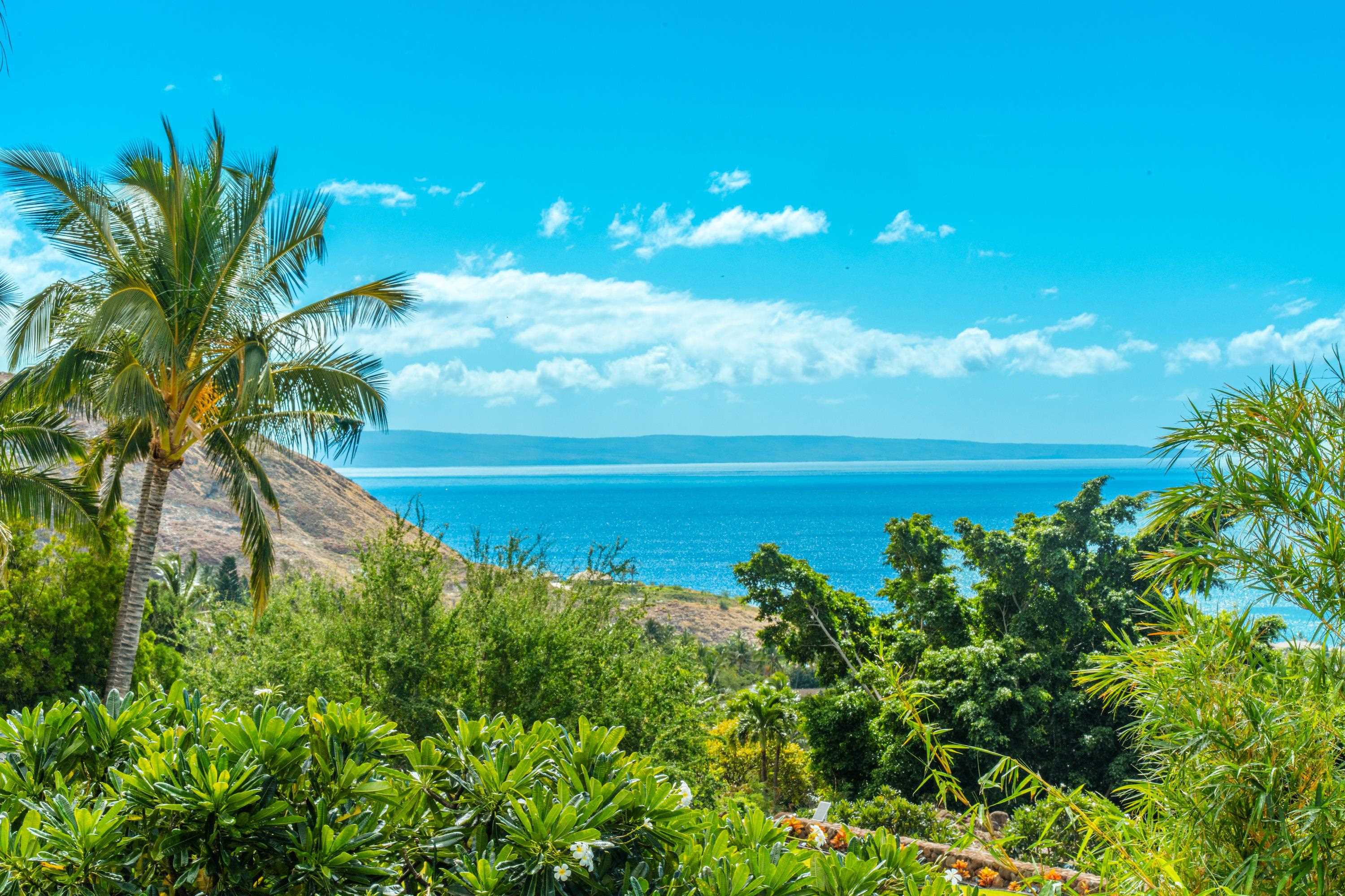 63  Kumu Niu Pl Launiupoko, Lahaina home - photo 36 of 44