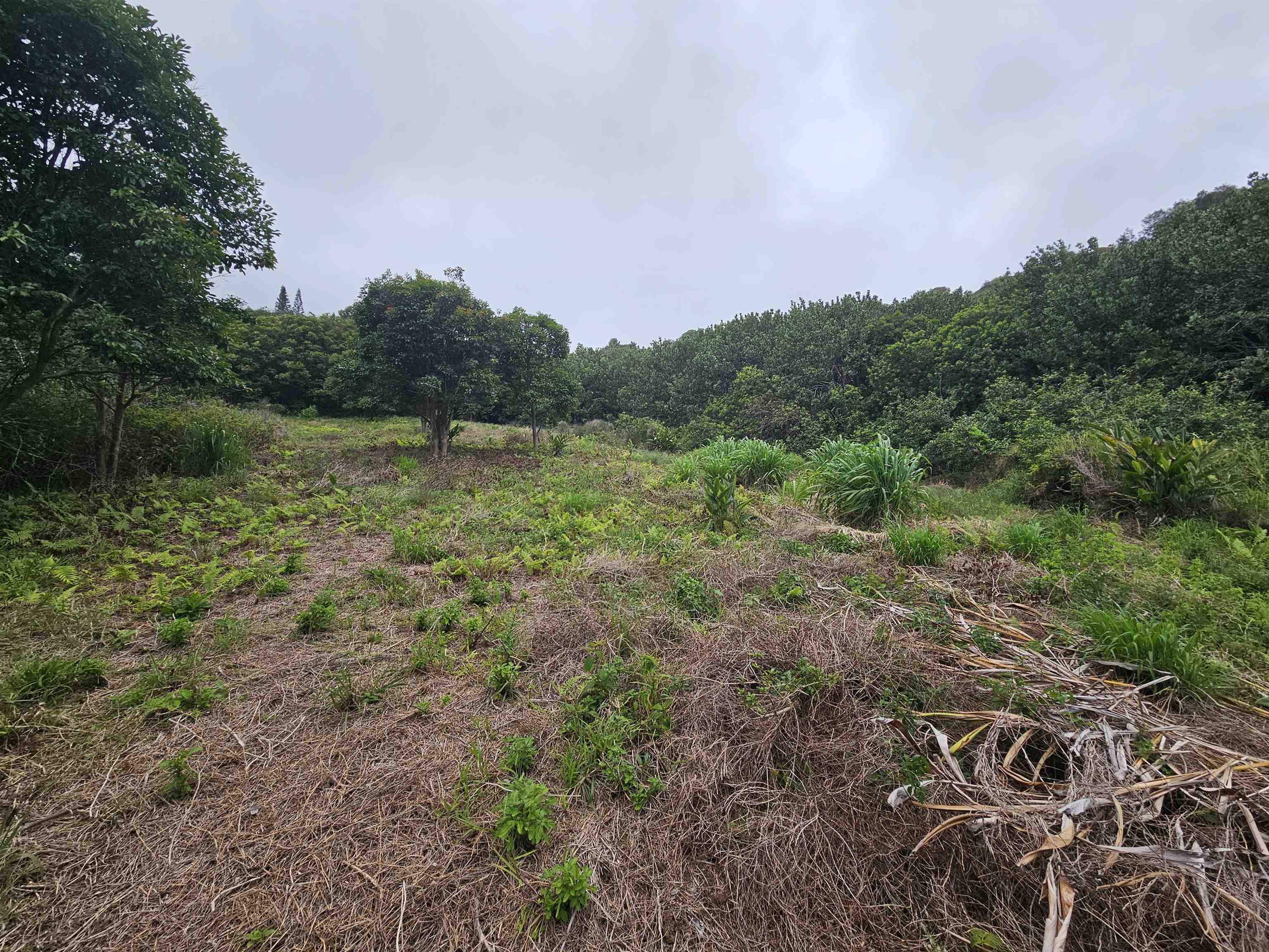 63 Lahaole Pl 19 Wailuku, Hi vacant land for sale - photo 16 of 40