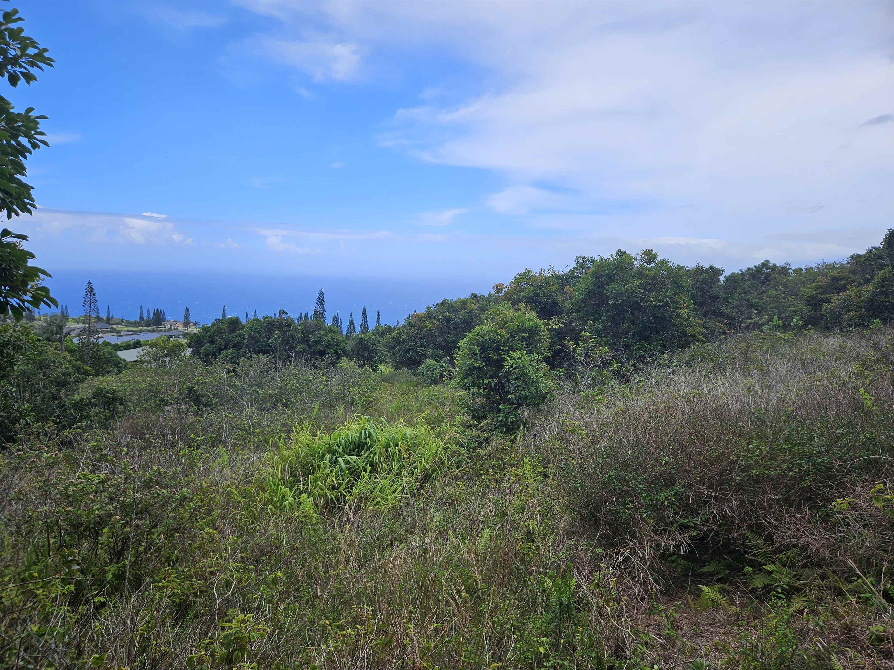 63 Lahaole Pl 19 Wailuku, Hi vacant land for sale - photo 17 of 40