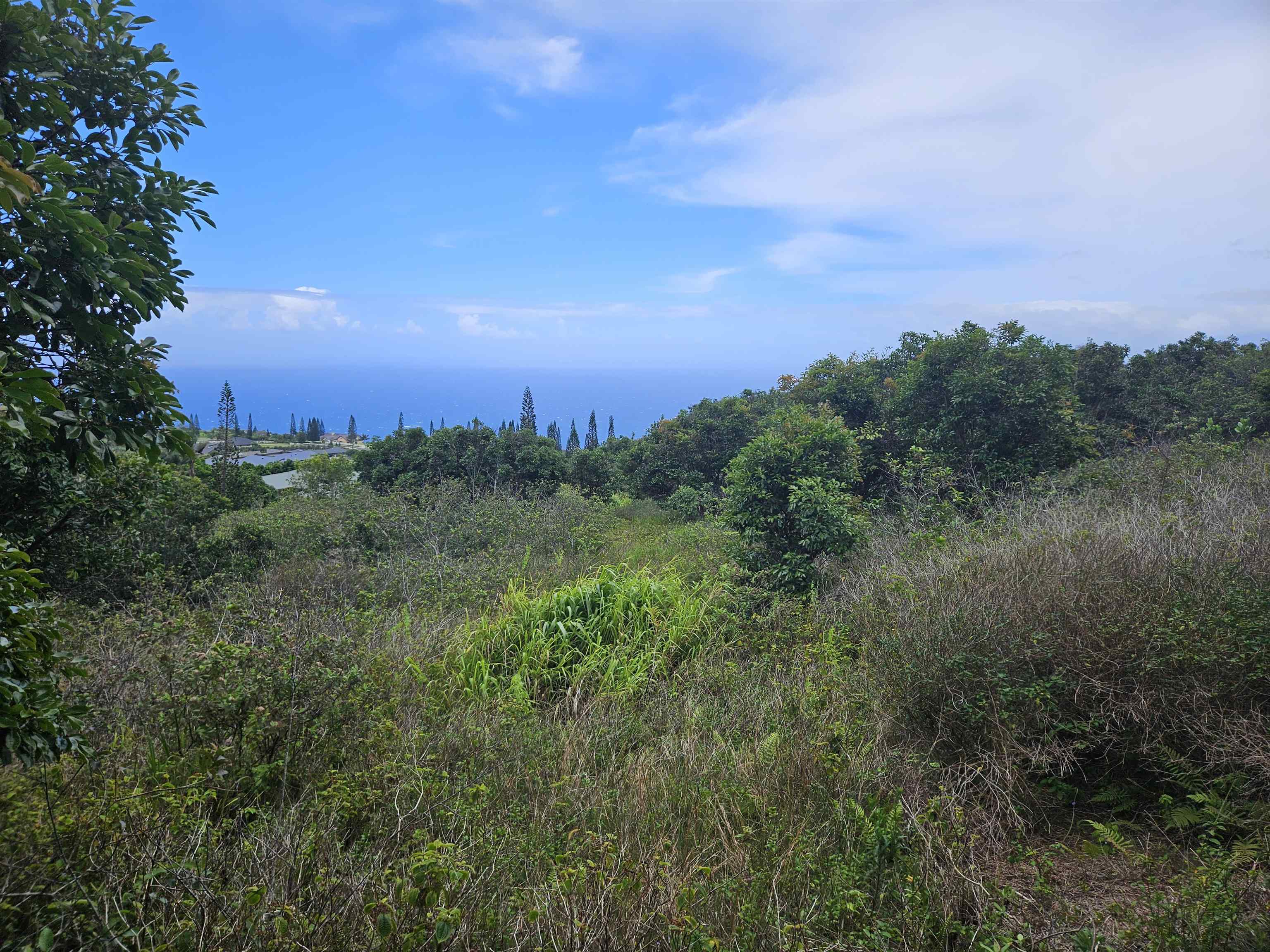 63 Lahaole Pl 19 Wailuku, Hi vacant land for sale - photo 18 of 40