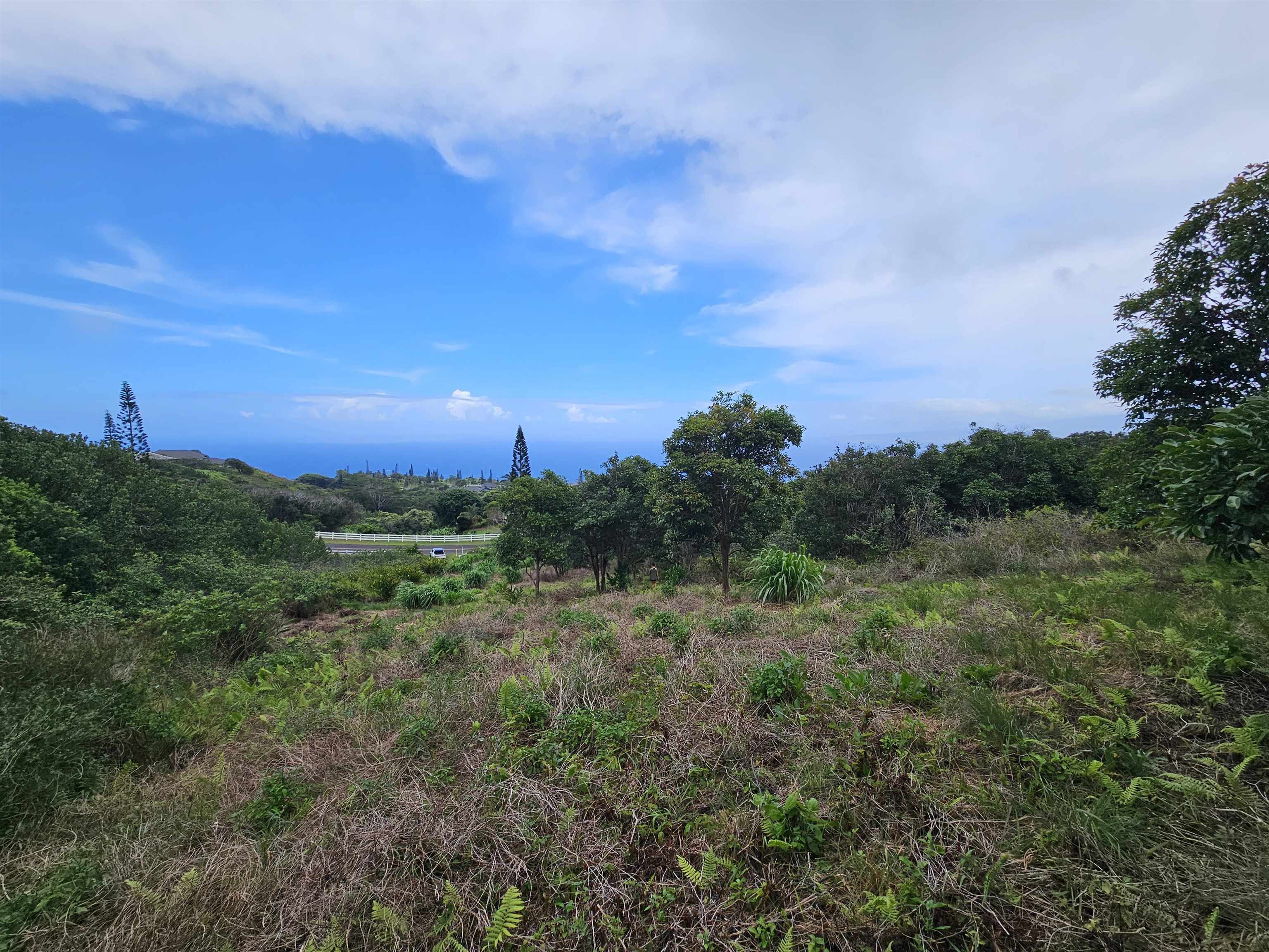 63 Lahaole Pl 19 Wailuku, Hi vacant land for sale - photo 19 of 40