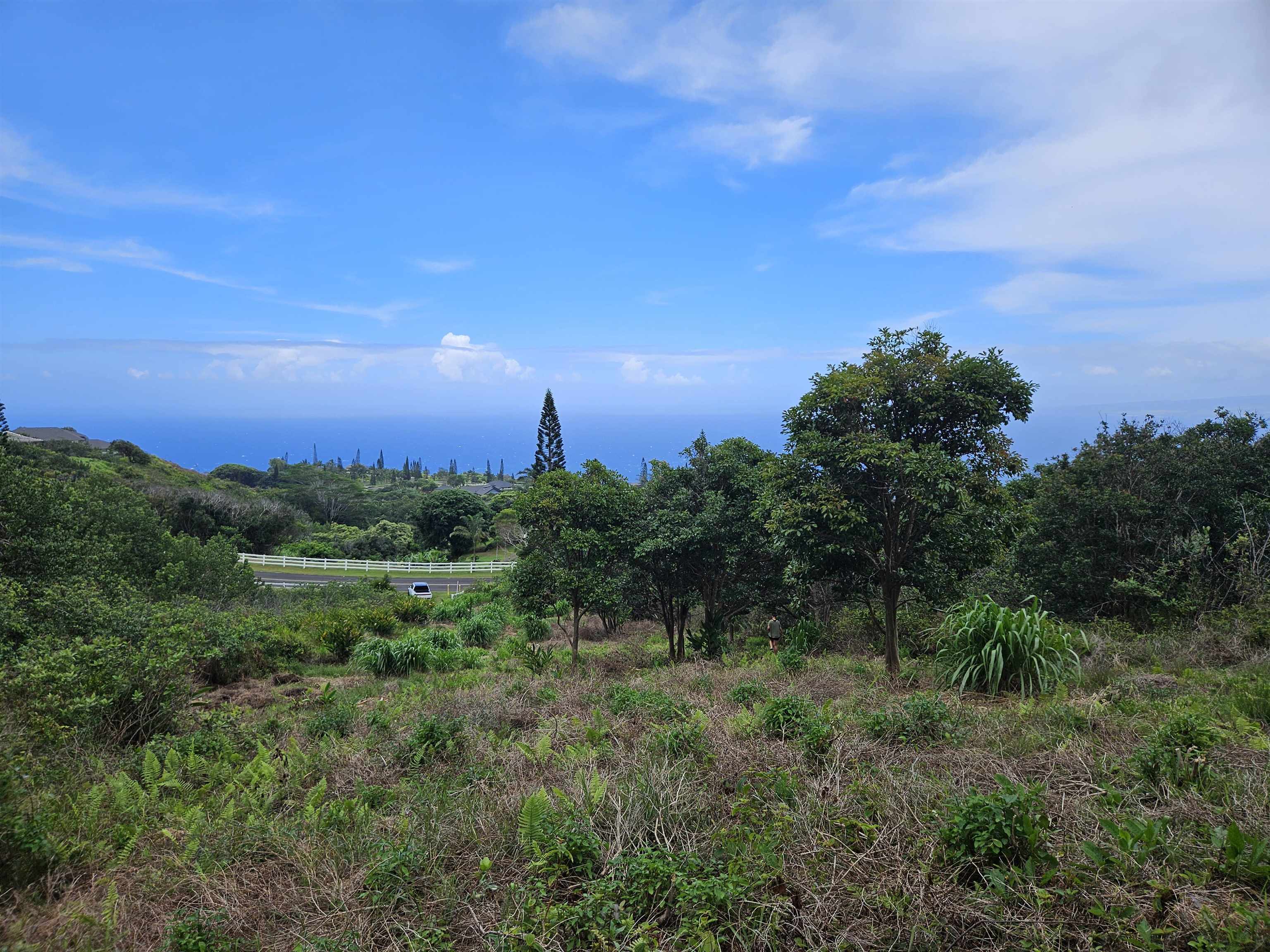 63 Lahaole Pl 19 Wailuku, Hi vacant land for sale - photo 21 of 40