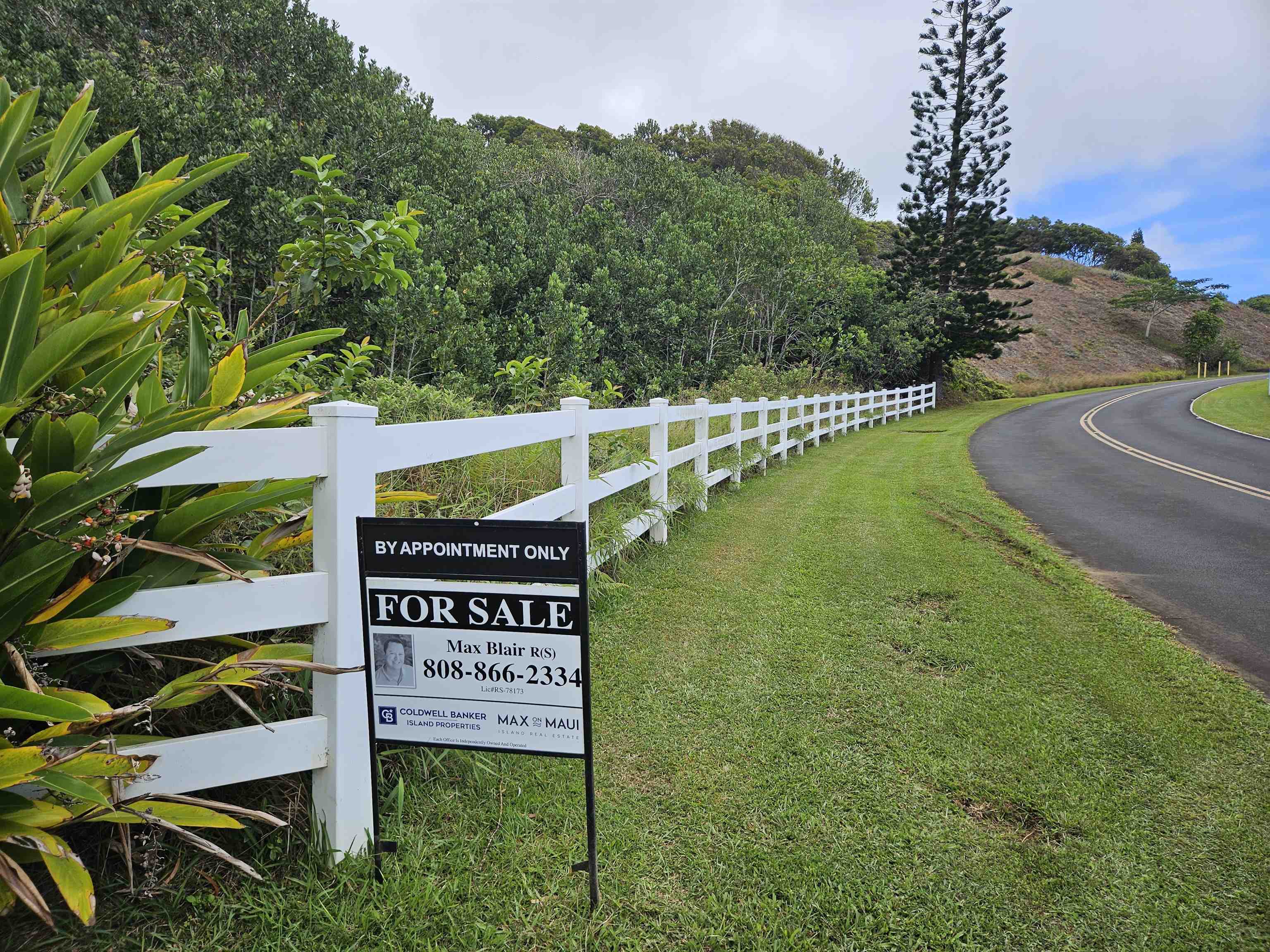 63 Lahaole Pl 19 Wailuku, Hi vacant land for sale - photo 23 of 40