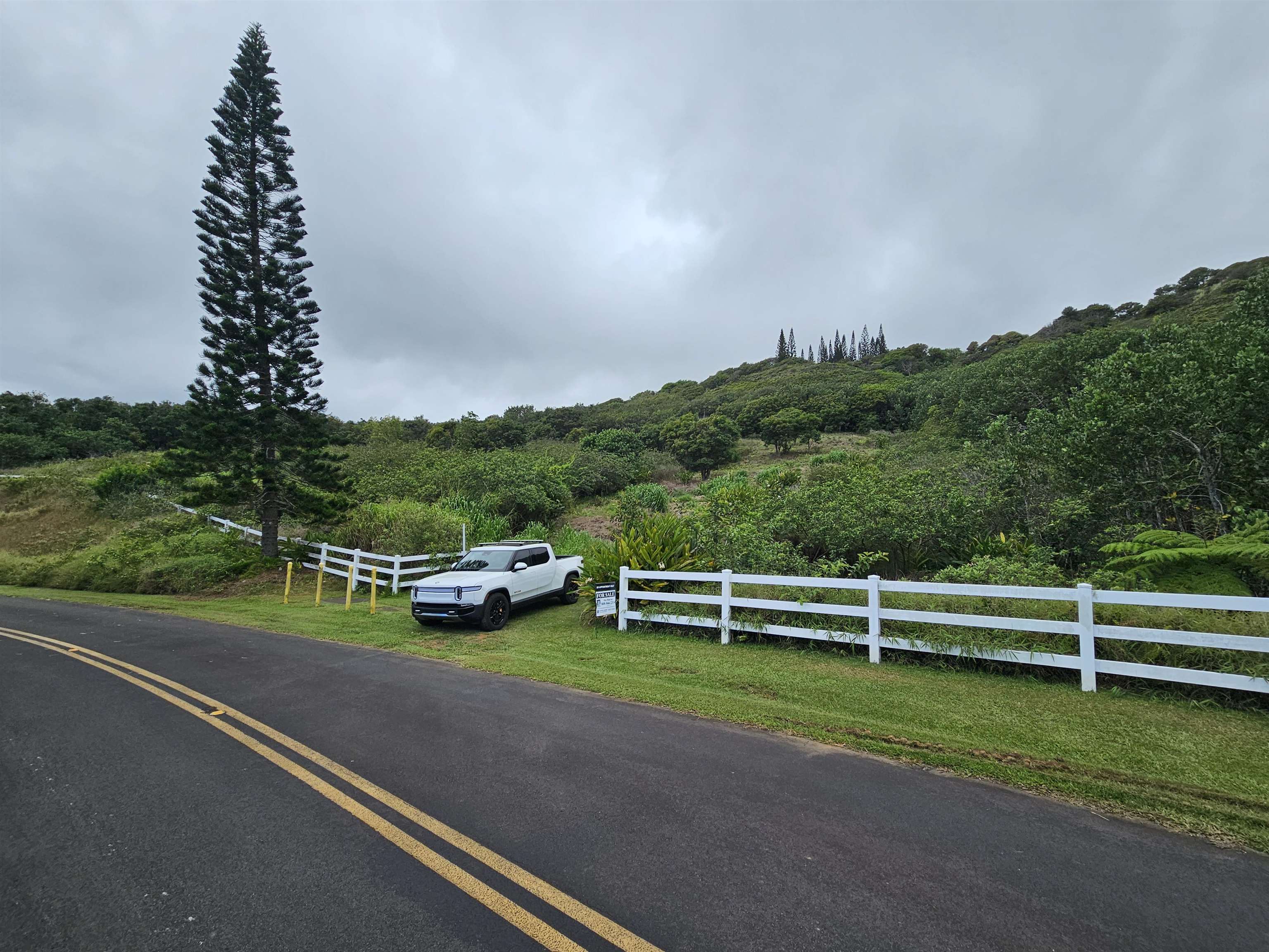 63 Lahaole Pl 19 Wailuku, Hi vacant land for sale - photo 24 of 40