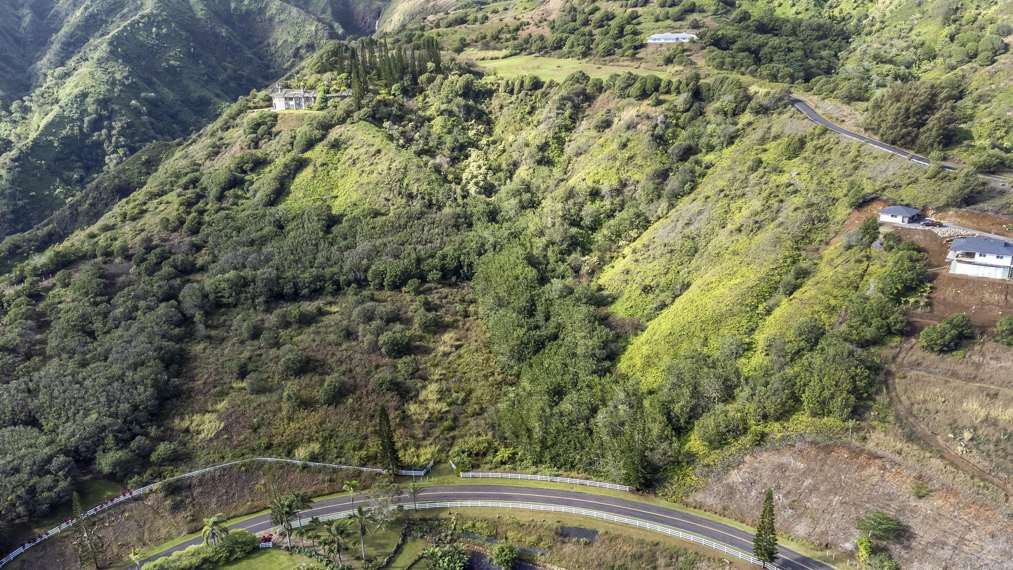 63 Lahaole Pl 19 Wailuku, Hi vacant land for sale - photo 31 of 40