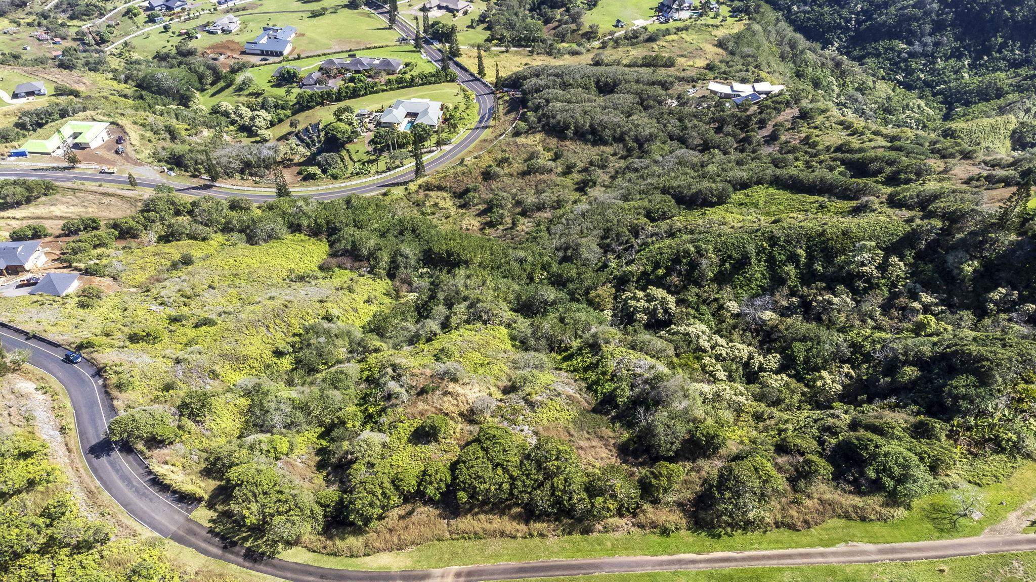 63 Lahaole Pl 19 Wailuku, Hi vacant land for sale - photo 38 of 40