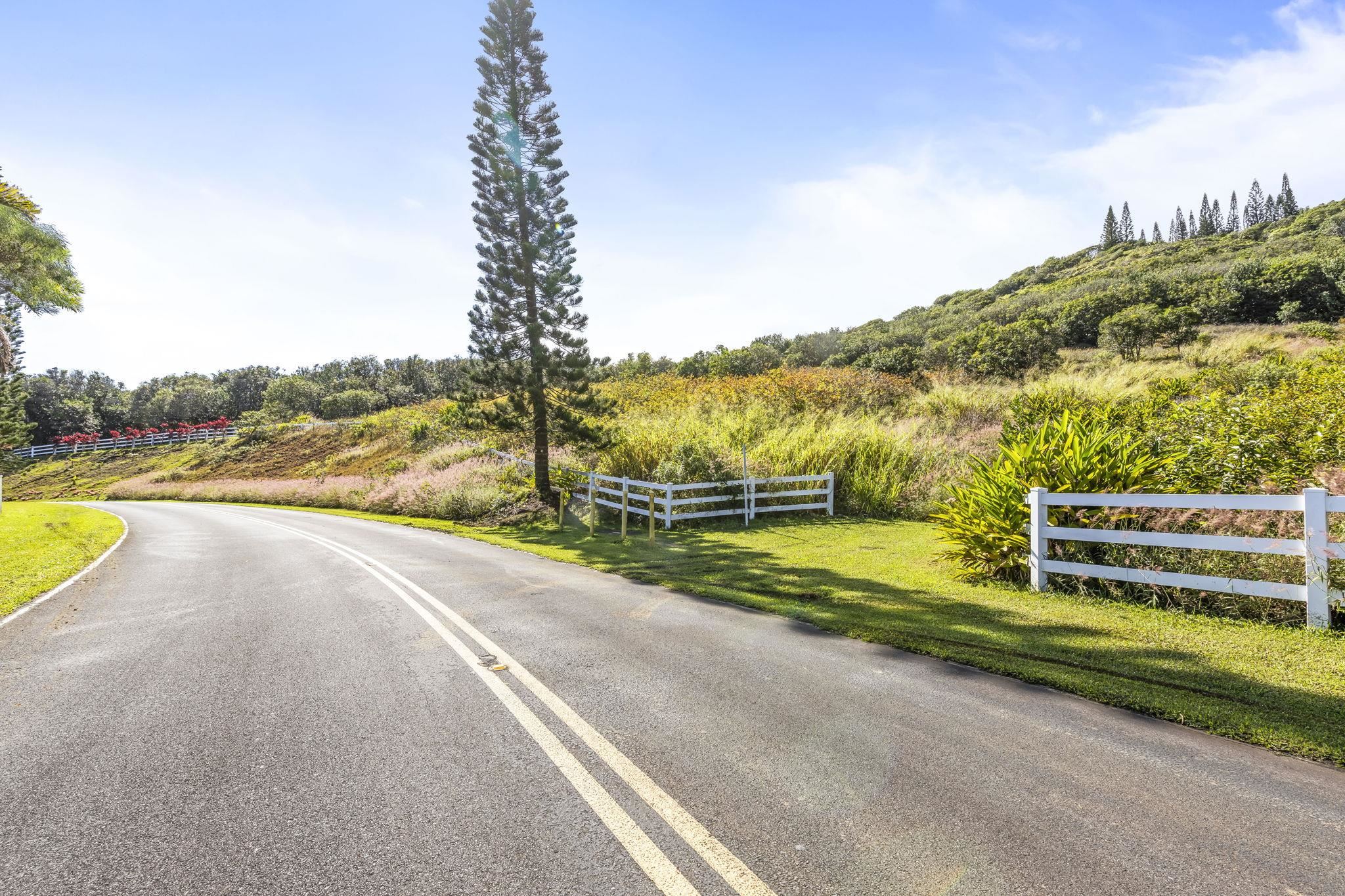 63 Lahaole Pl 19 Wailuku, Hi vacant land for sale - photo 6 of 40