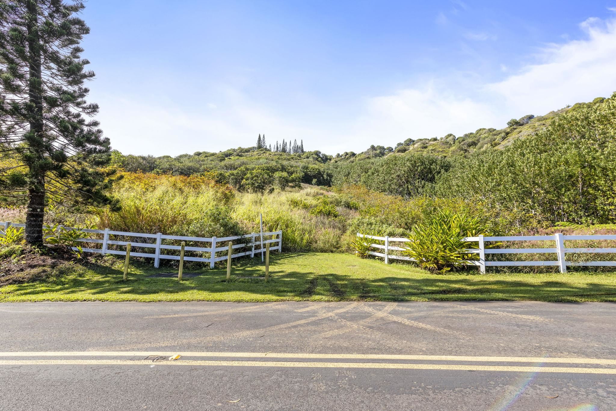 63 Lahaole Pl 19 Wailuku, Hi vacant land for sale - photo 8 of 40