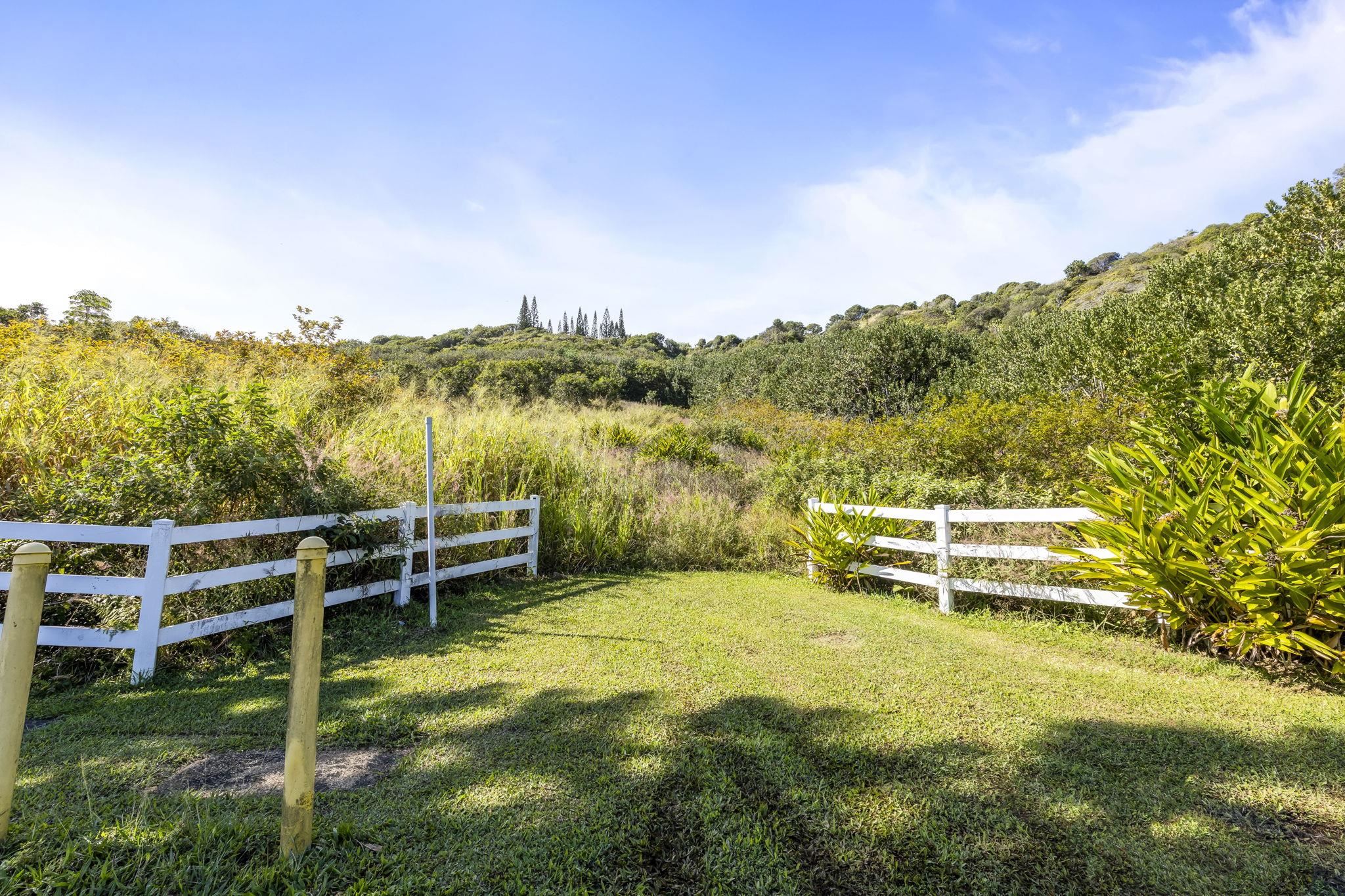 63 Lahaole Pl 19 Wailuku, Hi vacant land for sale - photo 9 of 40