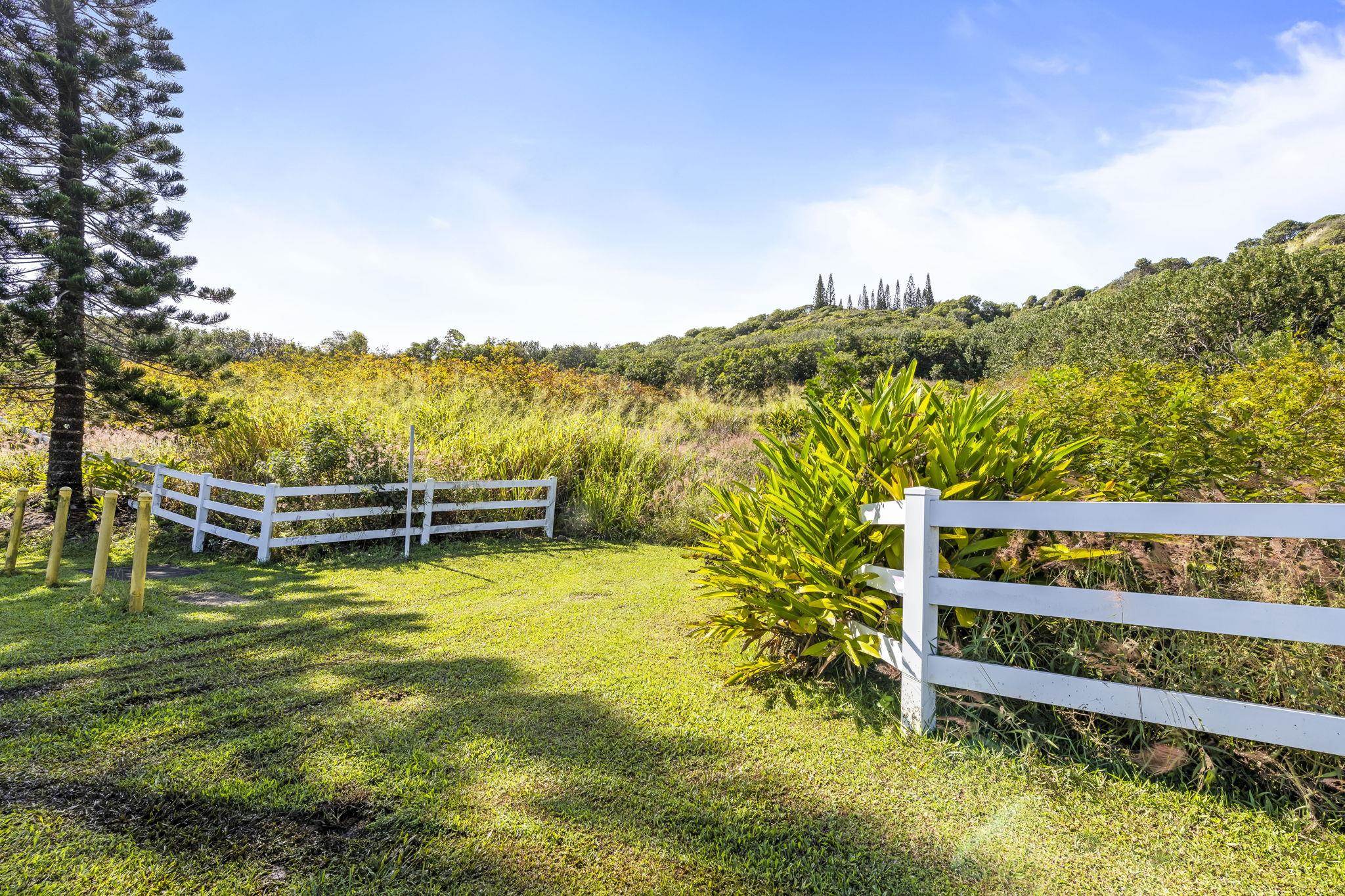 63 Lahaole Pl 19 Wailuku, Hi vacant land for sale - photo 10 of 40