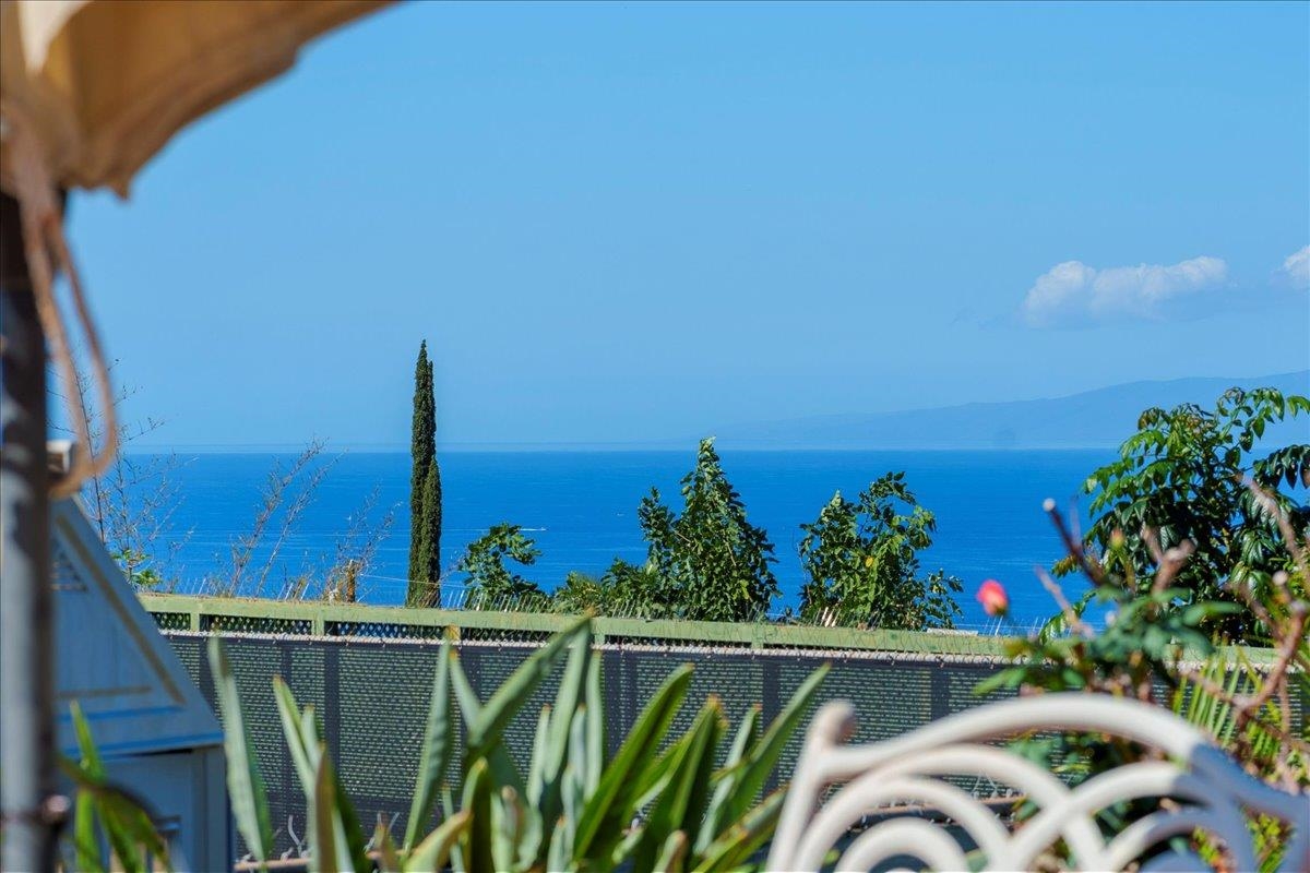 634  Laniolu Pl Maui Meadows, Maui Meadows home - photo 46 of 48