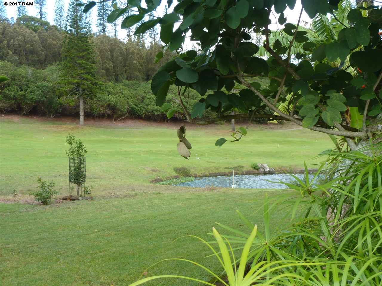 Villas at Koele II condo # 3A, Paia, Hawaii - photo 19 of 21