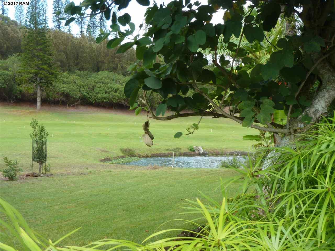 Villas at Koele II condo # 3A, Paia, Hawaii - photo 20 of 21