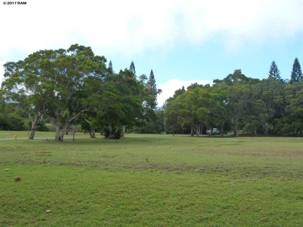 Villas at Koele II condo # 3A, Paia, Hawaii - photo 21 of 21