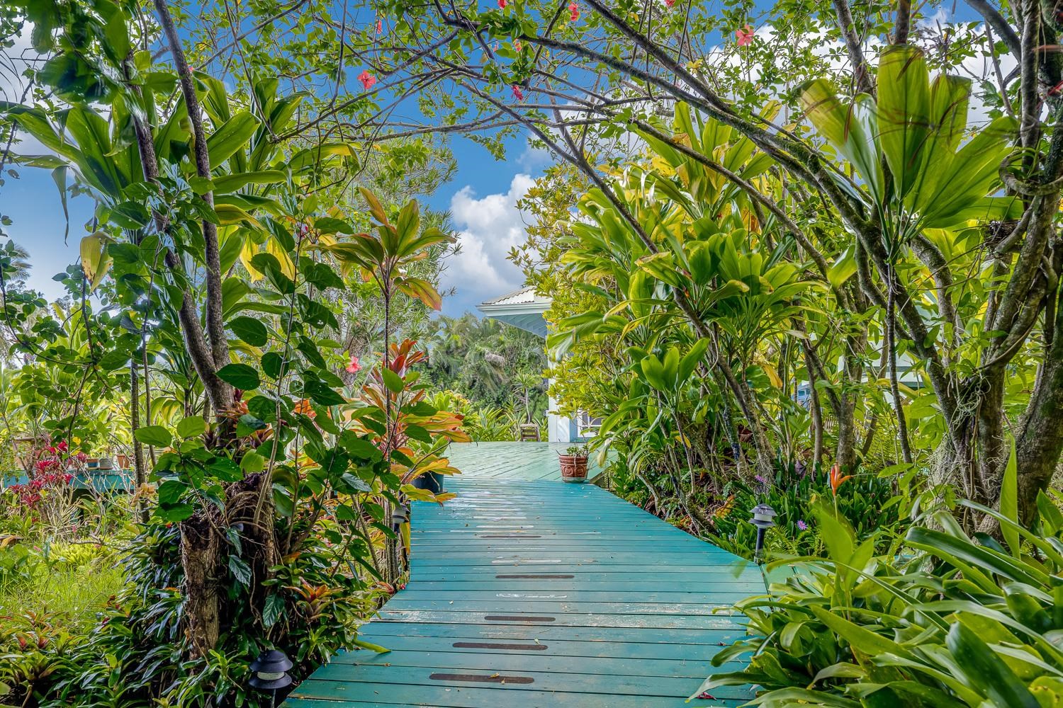 64  Door Of Faith Rd Door Of Faith, Haiku home - photo 26 of 31