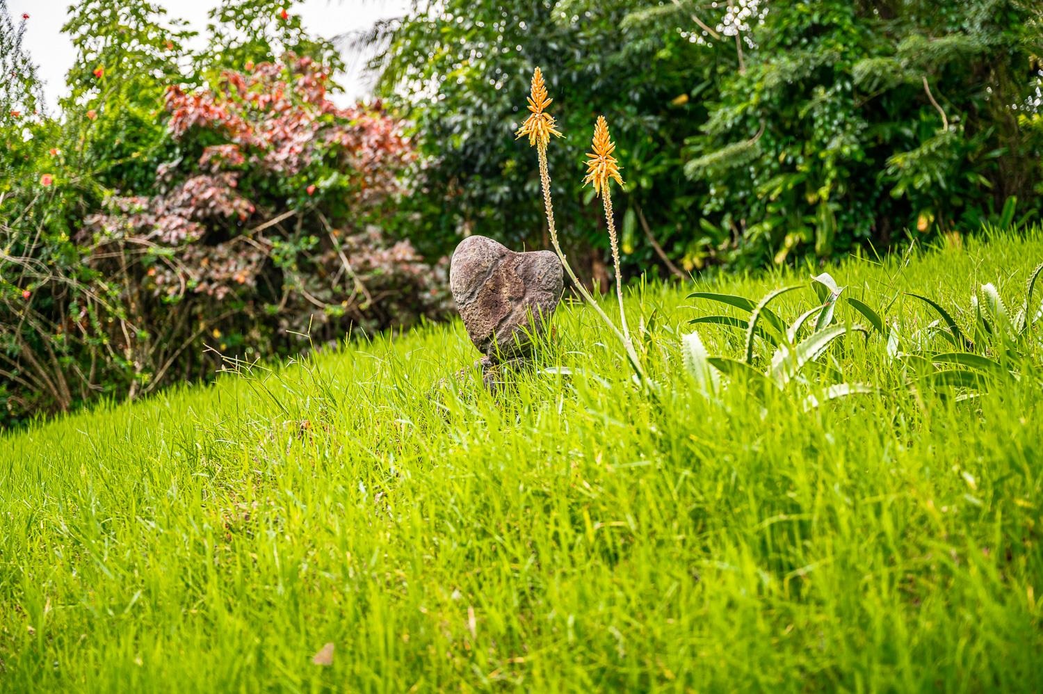 64  Door Of Faith Rd Door Of Faith, Haiku home - photo 31 of 31