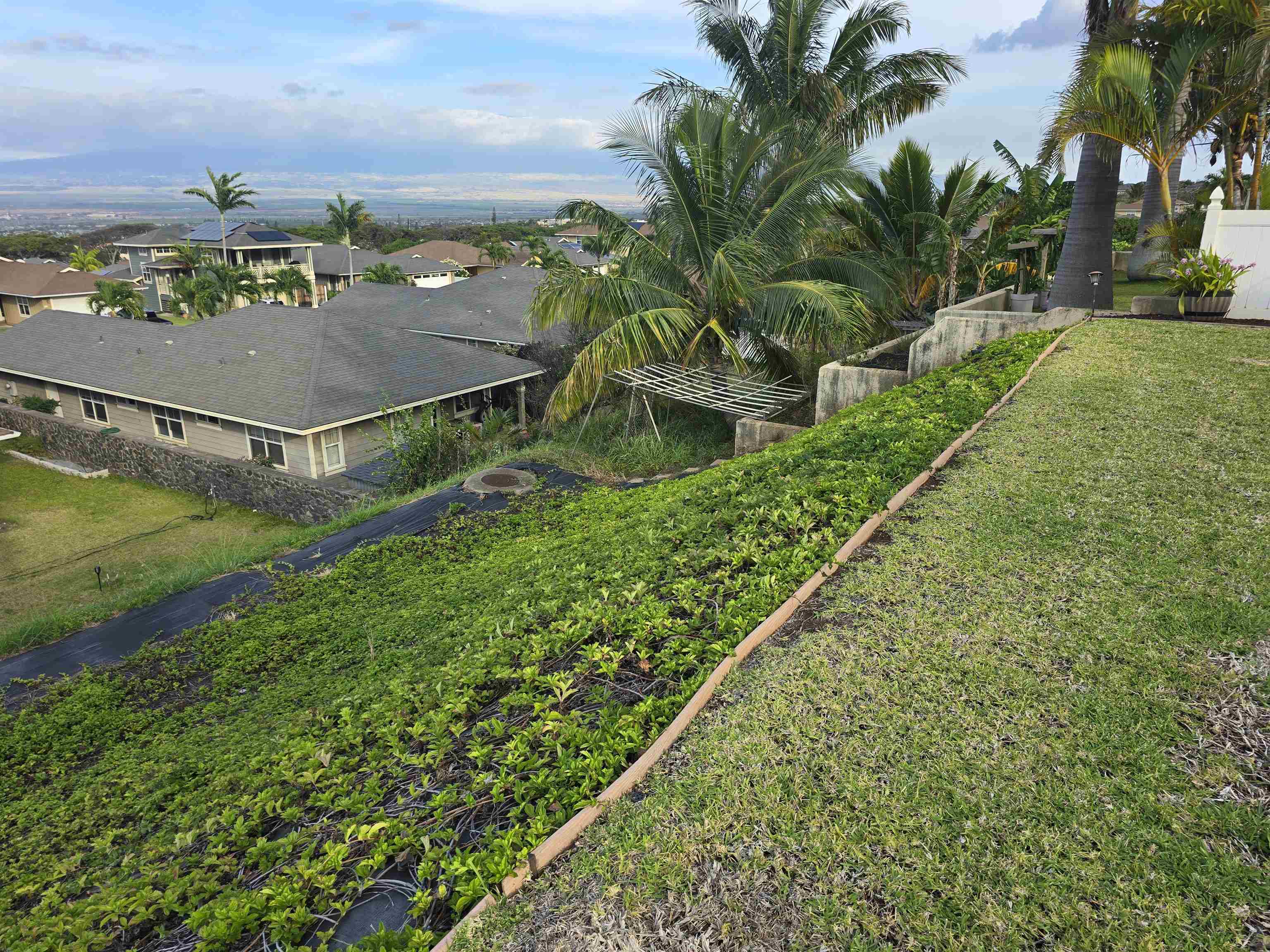 64  Uahaa Pl Kehalani, Wailuku home - photo 17 of 40