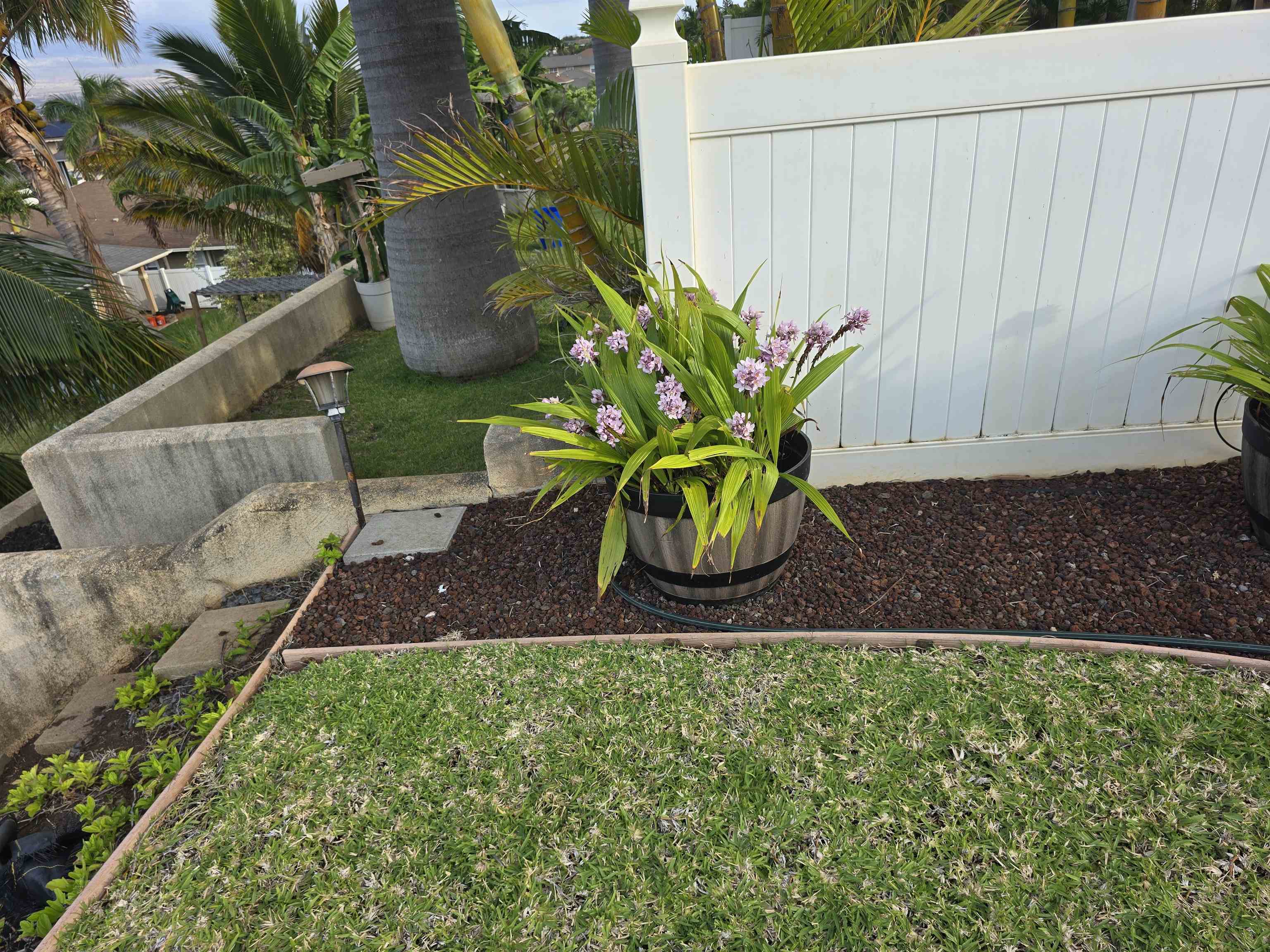 64  Uahaa Pl Kehalani, Wailuku home - photo 25 of 40