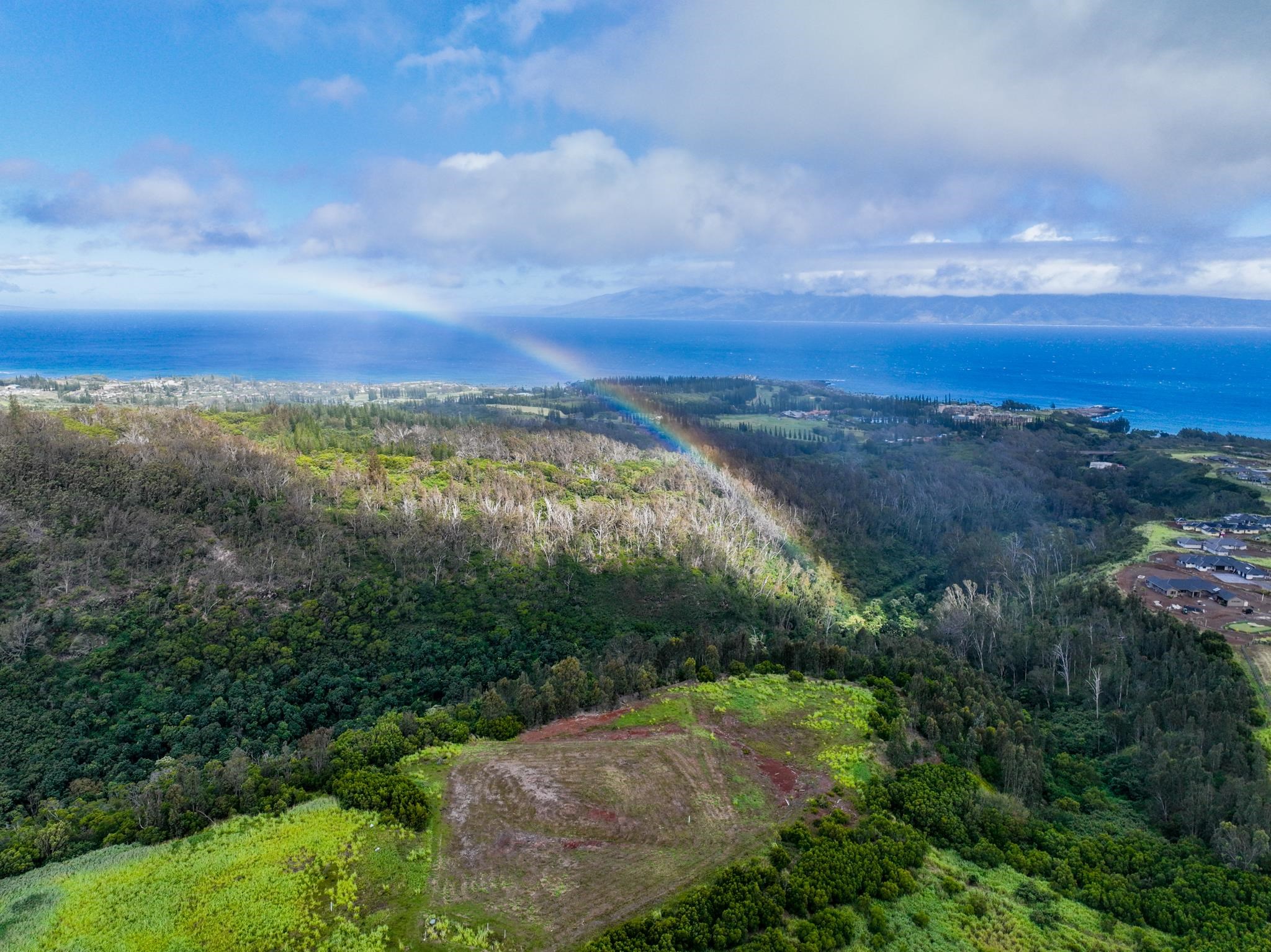 640 Mahana Ridge St 39 Lahaina, Hi vacant land for sale - photo 2 of 20