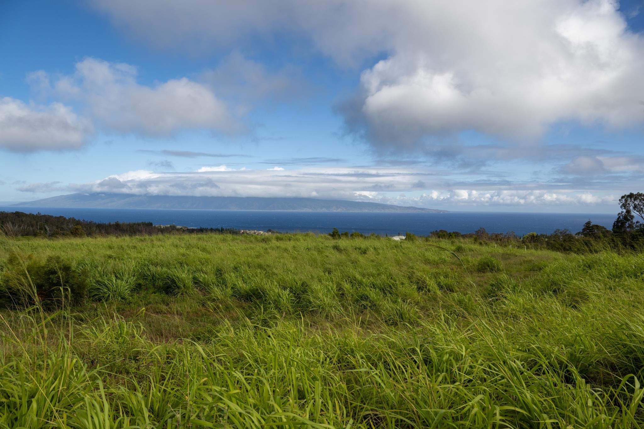 640 Mahana Ridge St 39 Lahaina, Hi vacant land for sale - photo 11 of 20