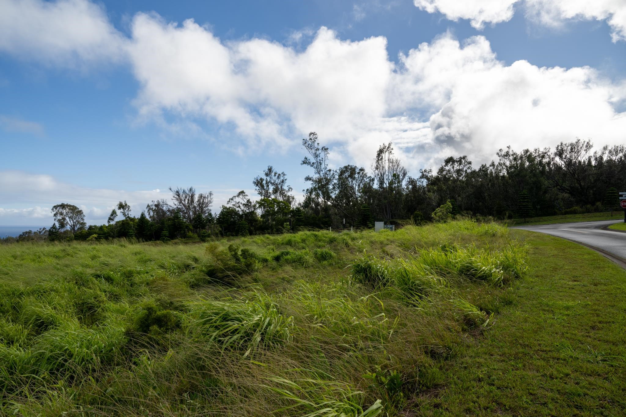 640 Mahana Ridge St 39 Lahaina, Hi vacant land for sale - photo 12 of 20