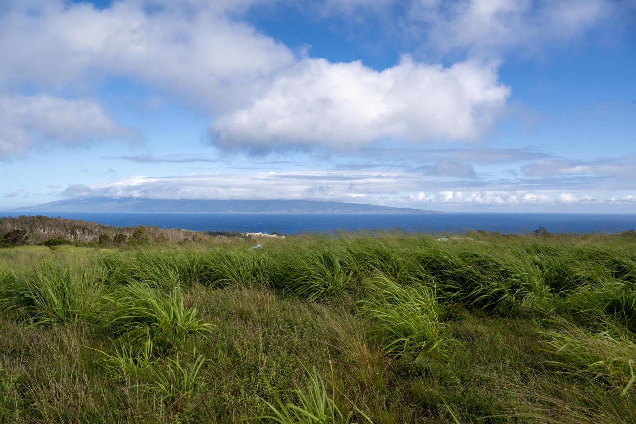 640 Mahana Ridge St 39 Lahaina, Hi vacant land for sale - photo 13 of 20