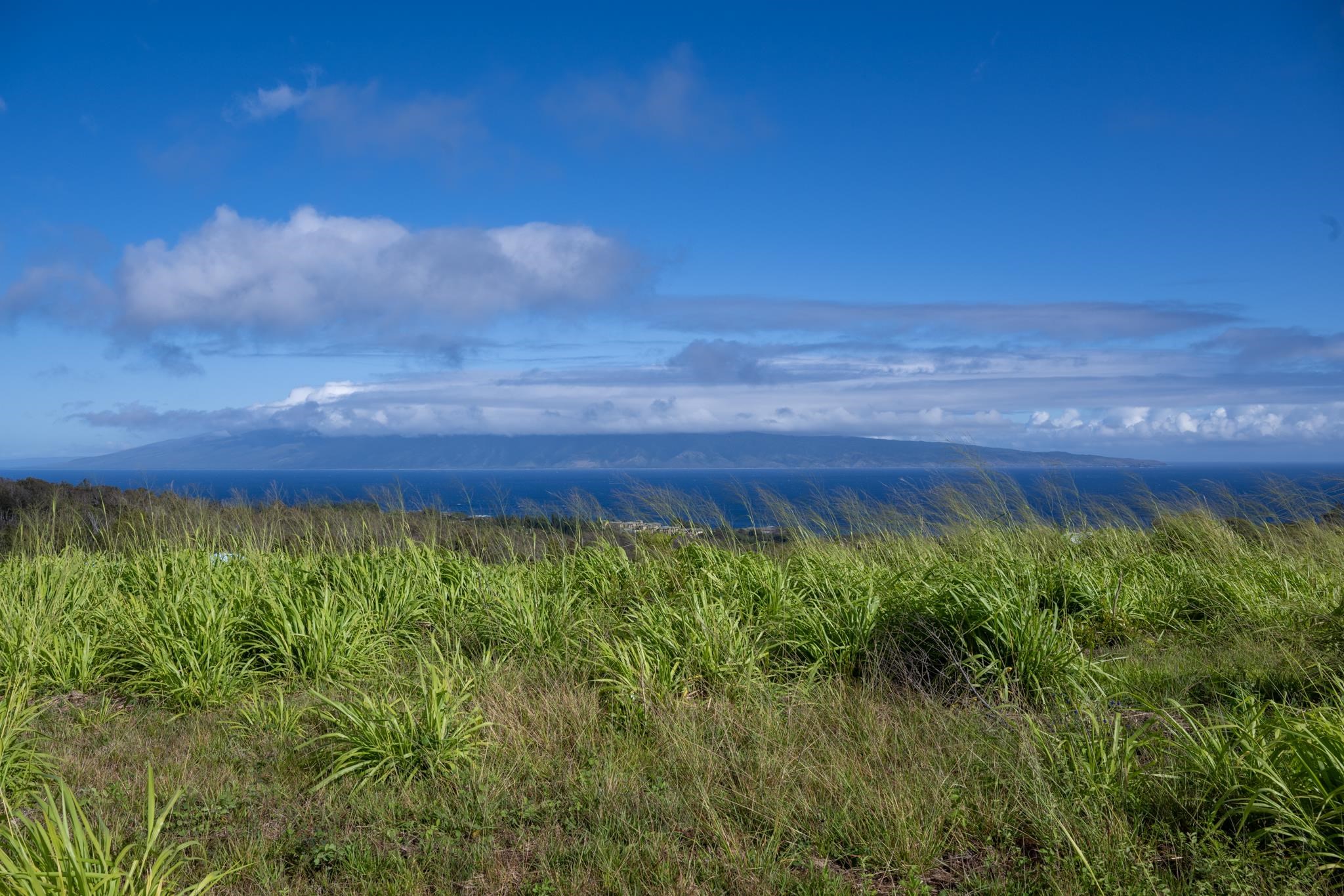 640 Mahana Ridge St 39 Lahaina, Hi vacant land for sale - photo 15 of 20