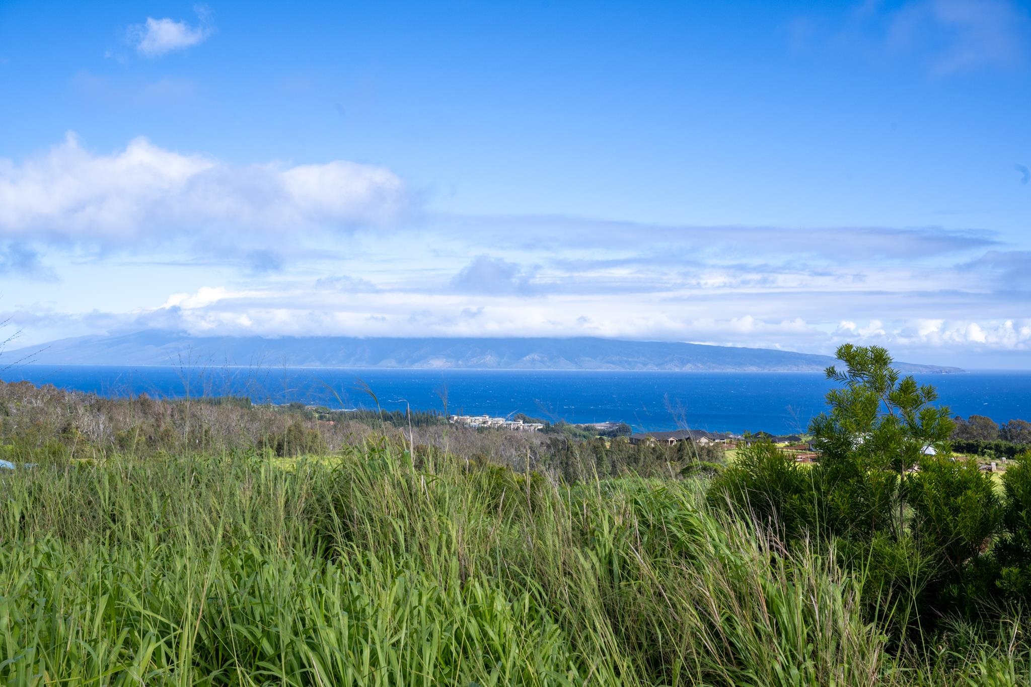 640 Mahana Ridge St 39 Lahaina, Hi vacant land for sale - photo 16 of 20