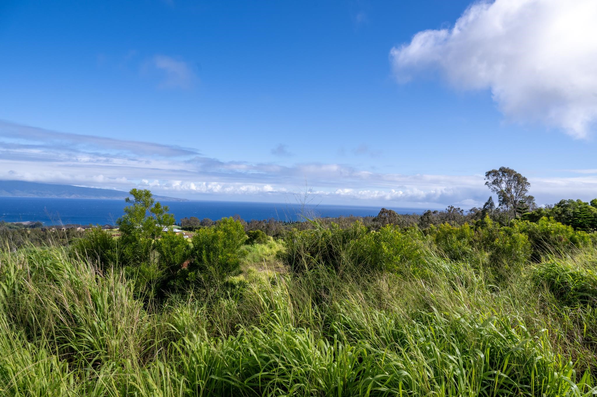 640 Mahana Ridge St 39 Lahaina, Hi vacant land for sale - photo 17 of 20