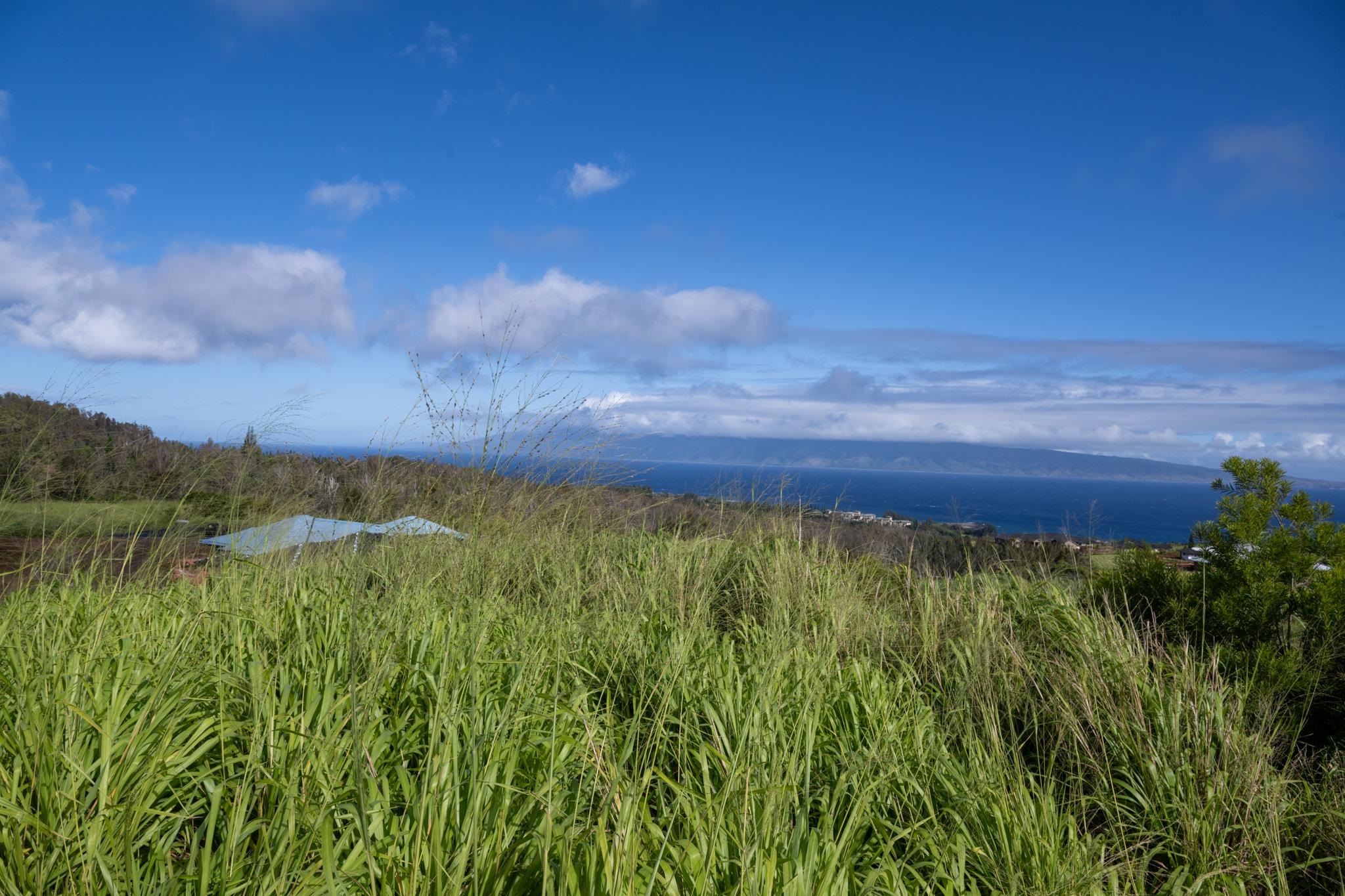 640 Mahana Ridge St 39 Lahaina, Hi vacant land for sale - photo 18 of 20