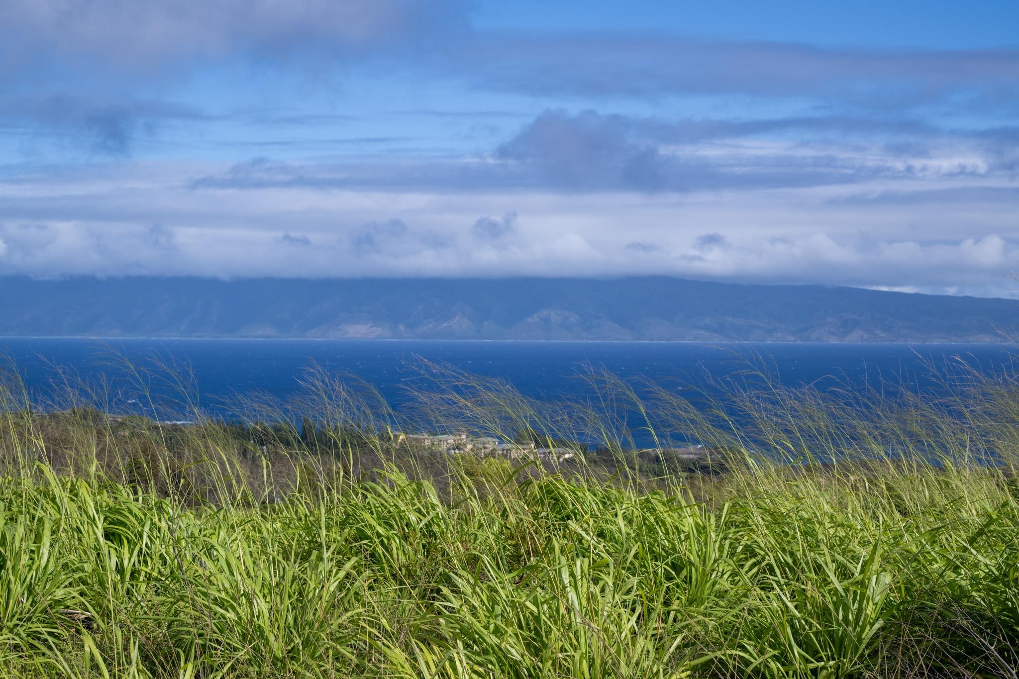 640 Mahana Ridge St 39 Lahaina, Hi vacant land for sale - photo 6 of 20