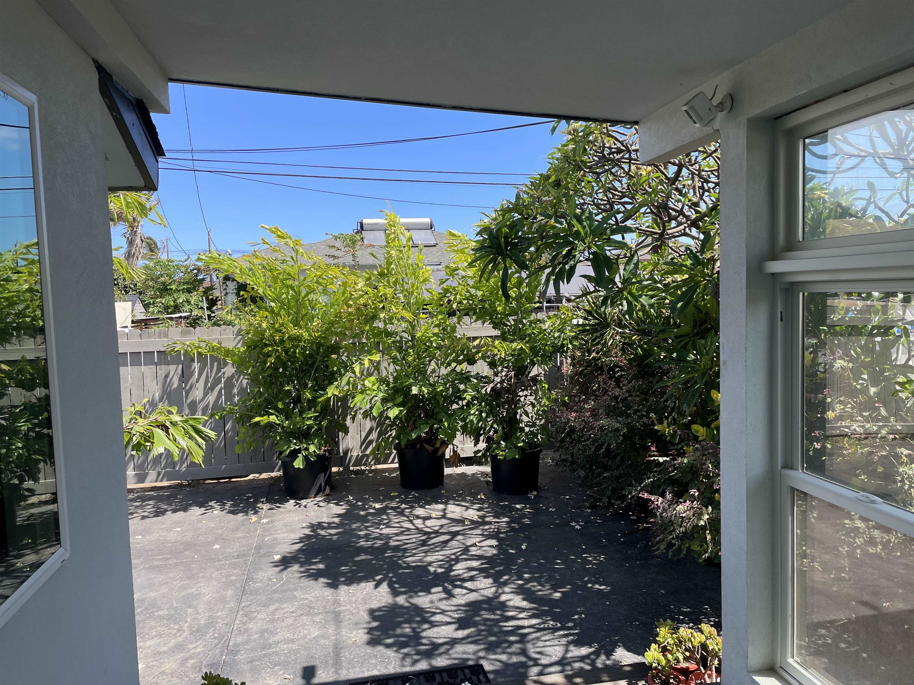 641  Linekona Pl Paukukalo, Wailuku home - photo 19 of 21