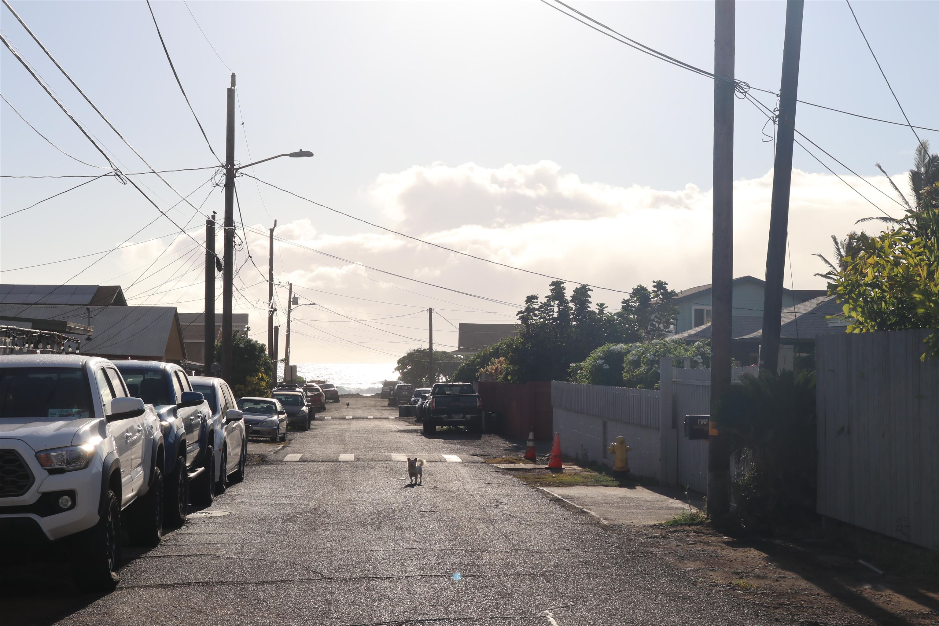 641  Linekona Pl Paukukalo, Wailuku home - photo 21 of 21