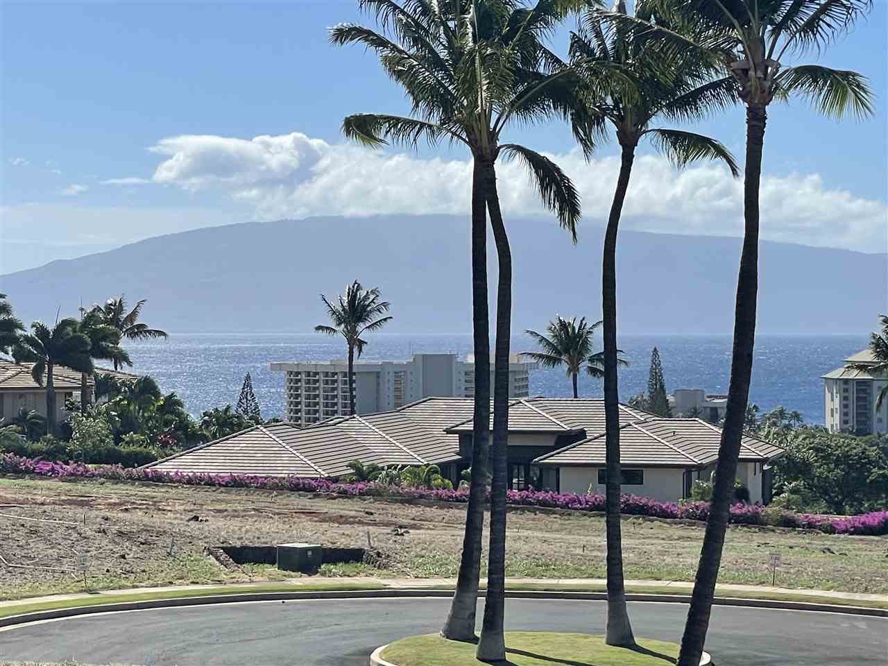 65 Lolii Pl  Lahaina, Hi vacant land for sale - photo 3 of 10