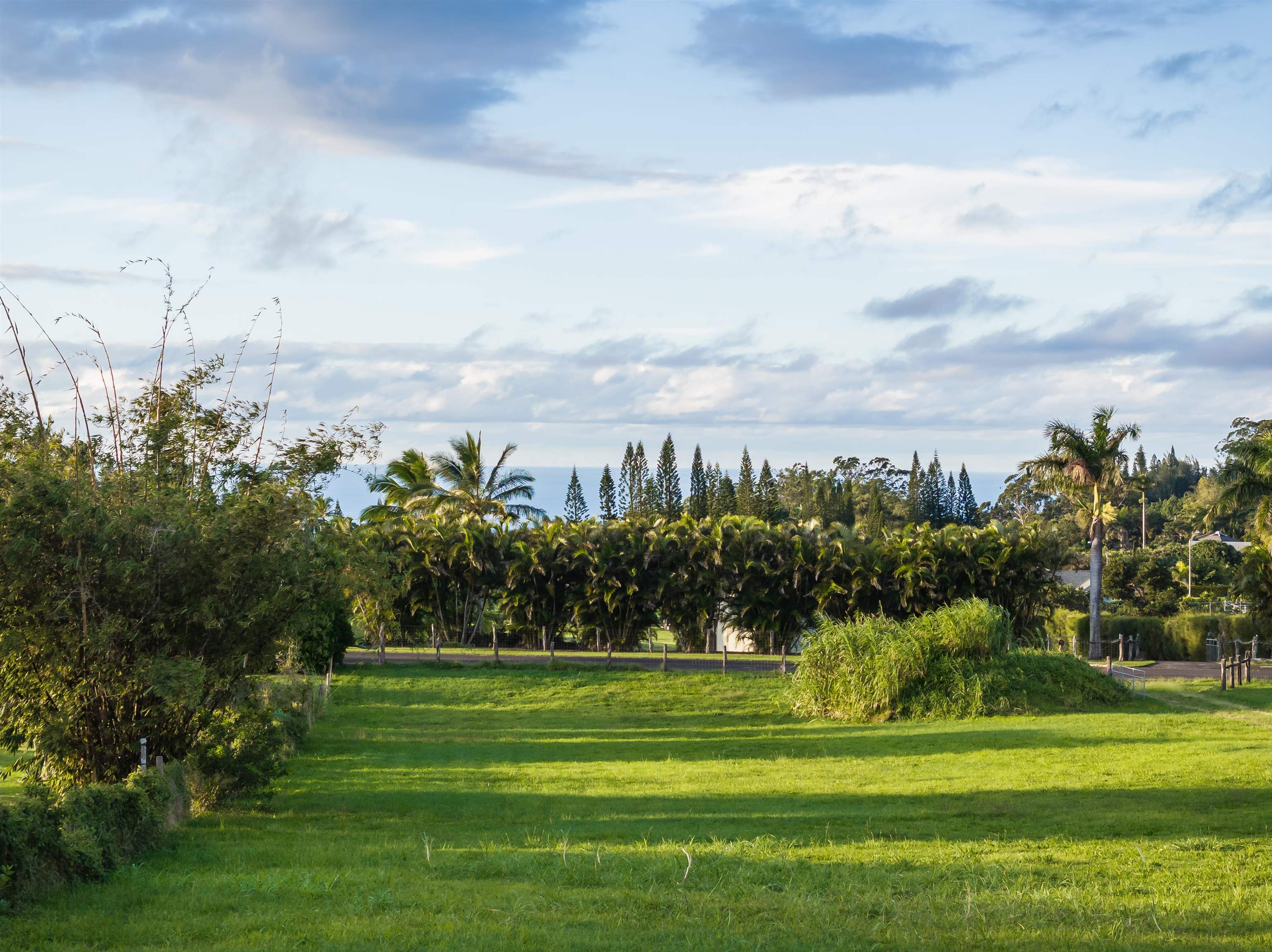 65 Uakoko Pl  Haiku, Hi vacant land for sale - photo 2 of 17